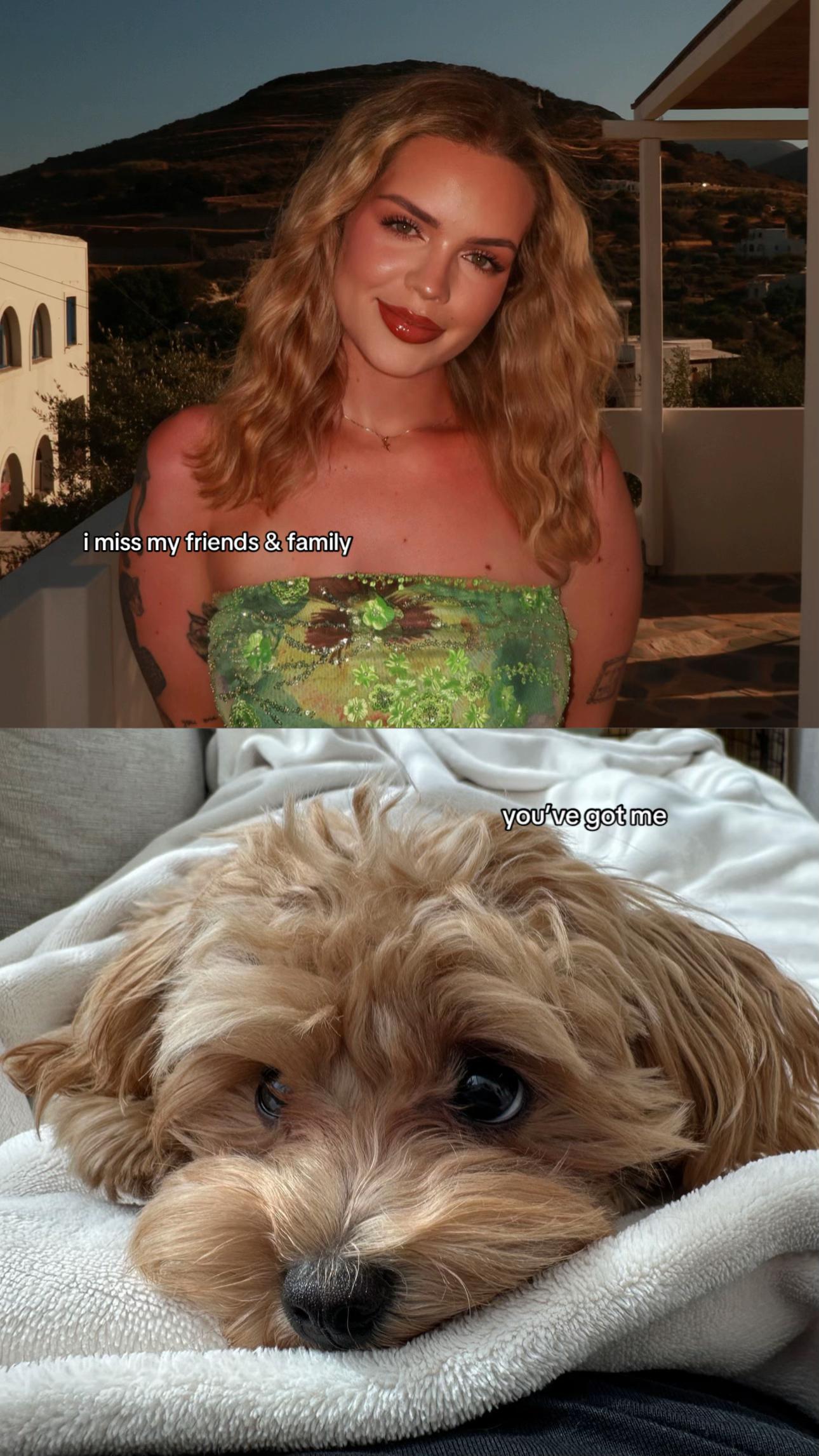 @Mochi the Maltipoo 🐻