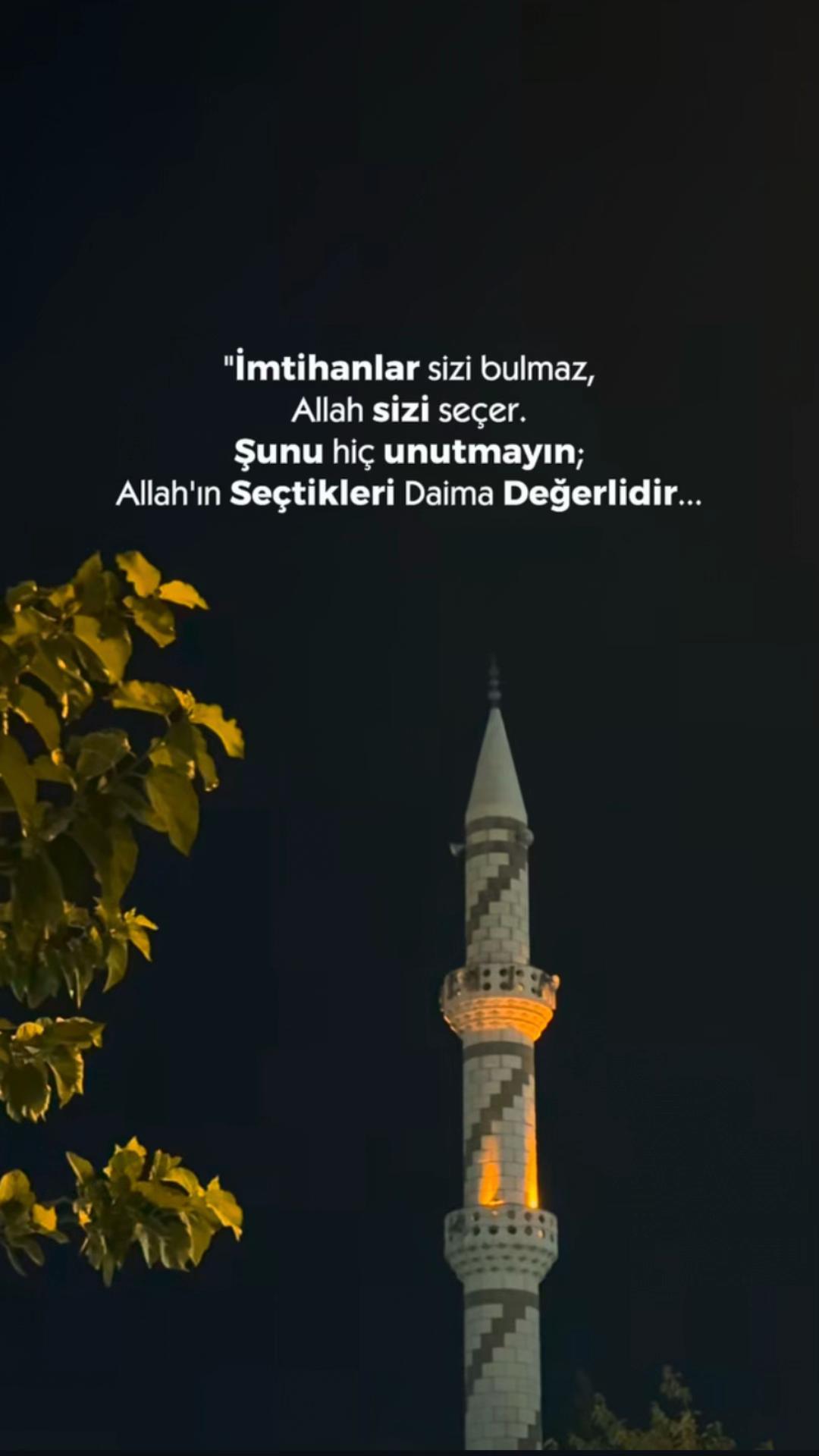 @ravzanur740