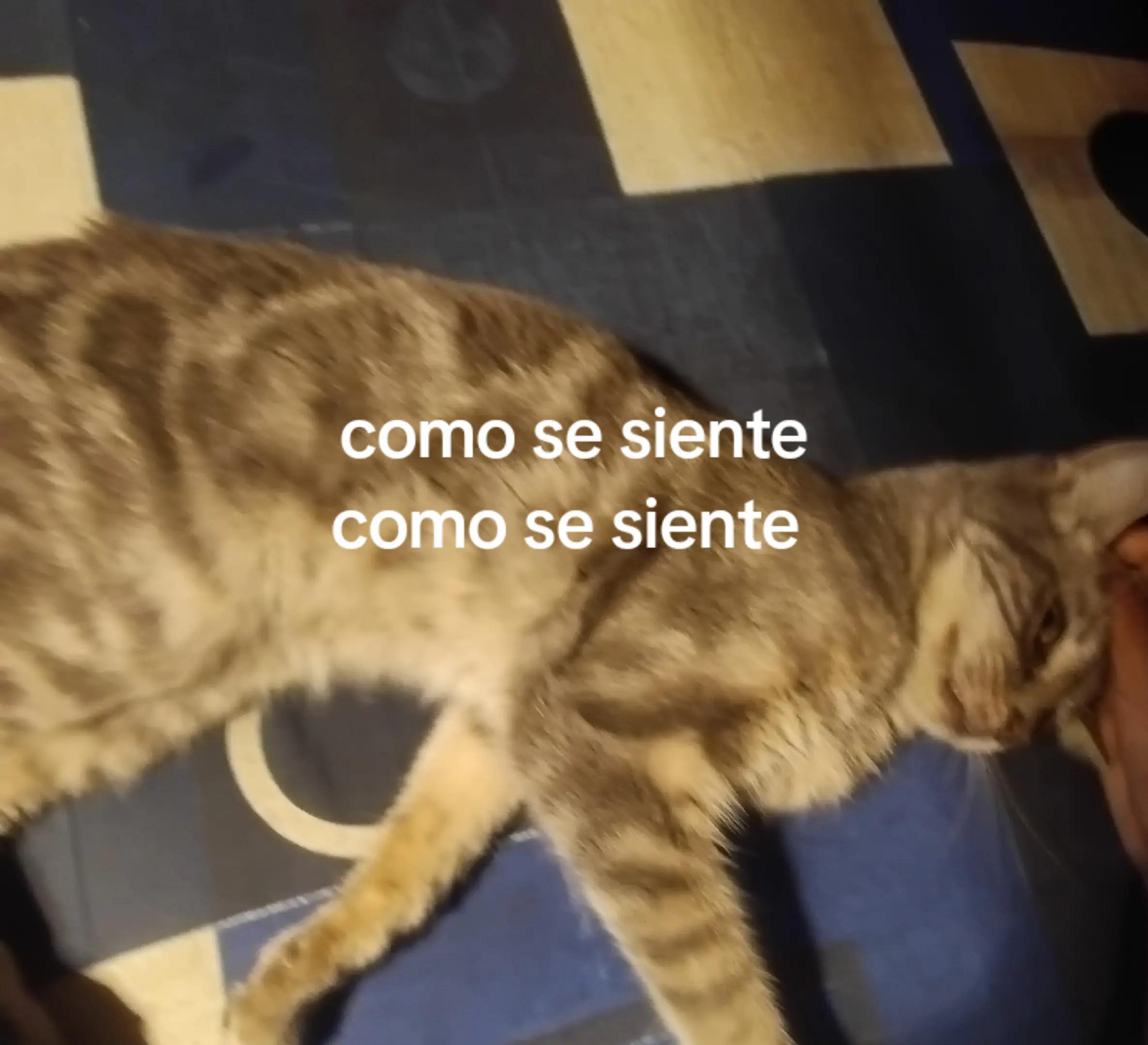 @𐙚estefania 𐙚₊˚⊹♡