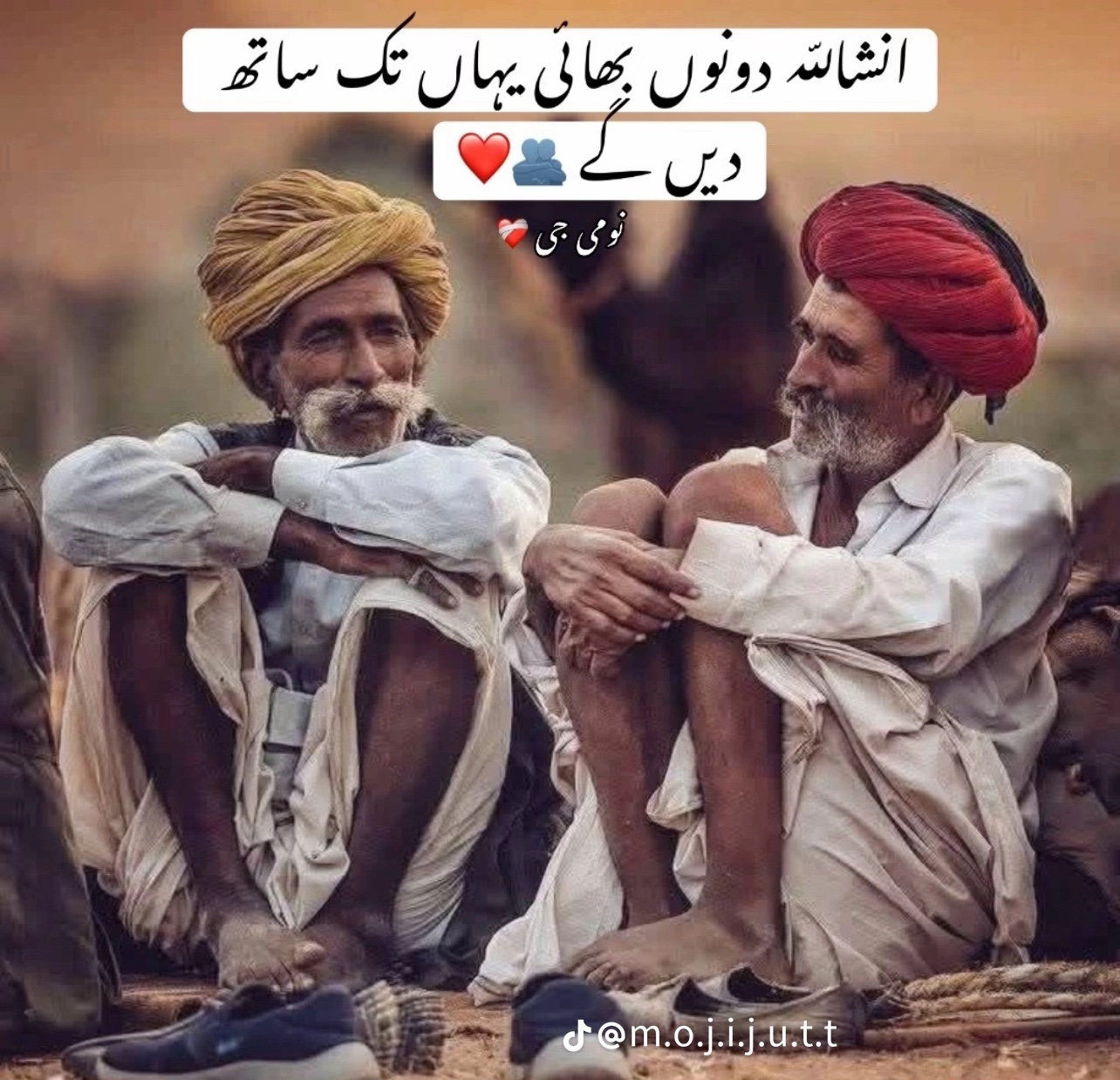@Zaحid🌗شیر