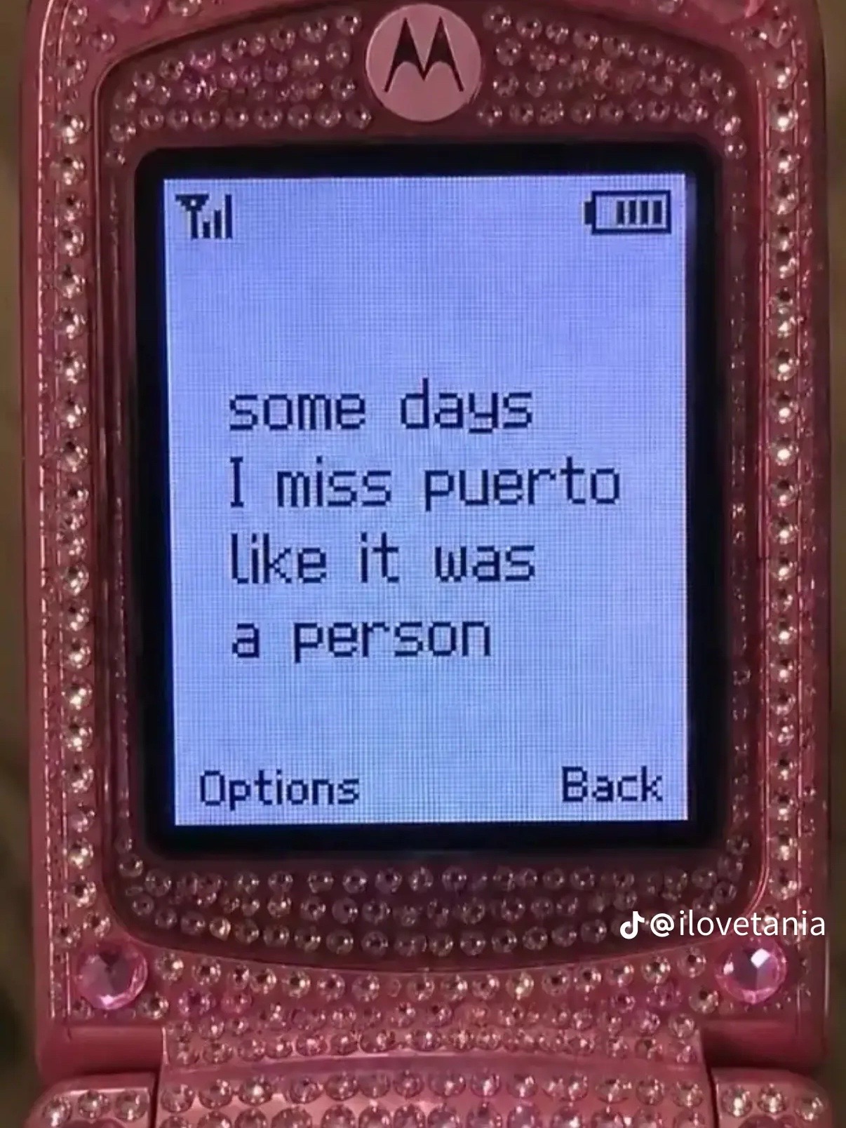 @helenamuoio_