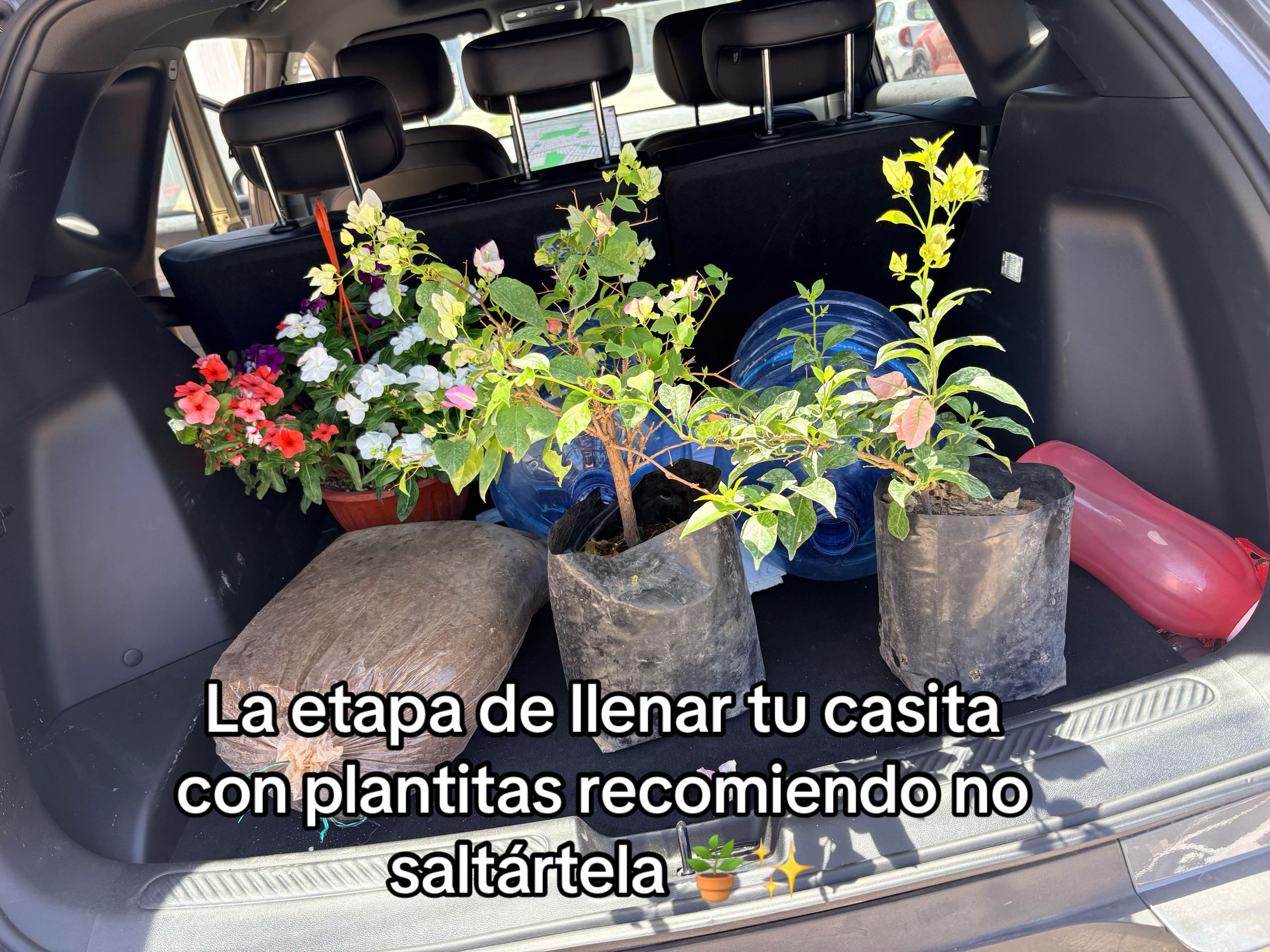 @Claudinis