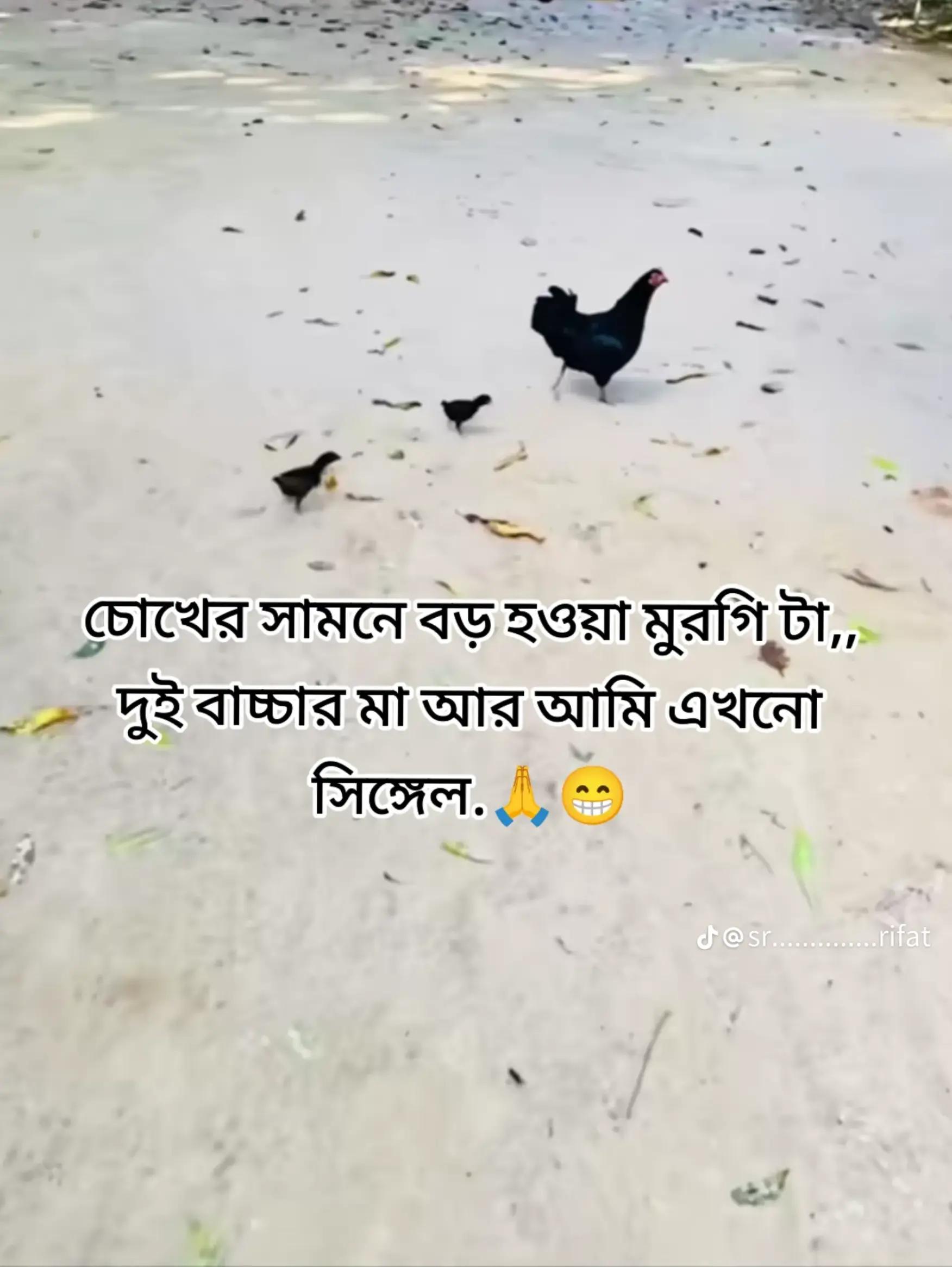 @ZAHIDUL HASAN🇧🇩🇸🇦🇦🇷