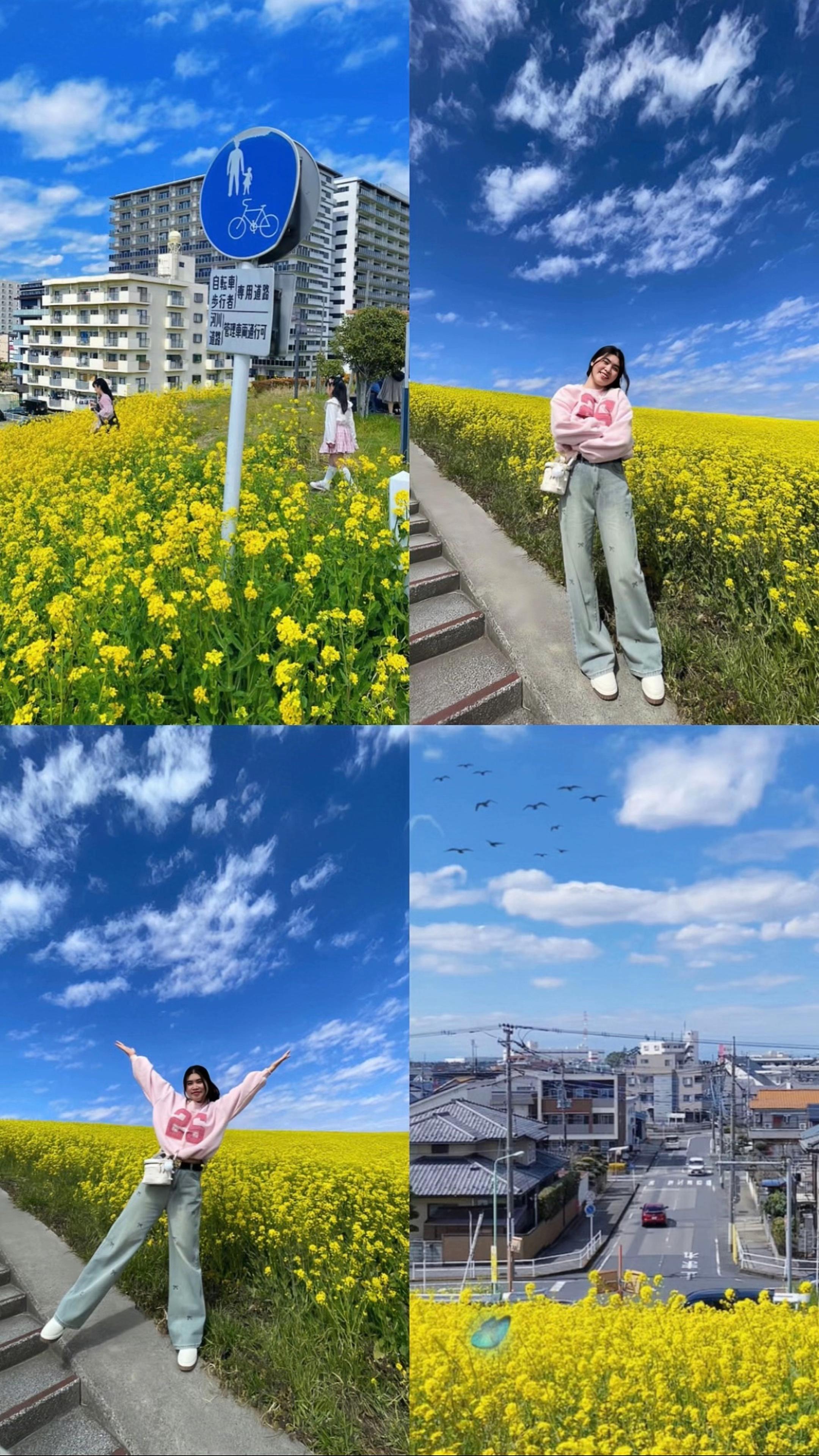 @ℋ𝒶̉𝒾 𝒴ℯ̂́𝓃🦥
