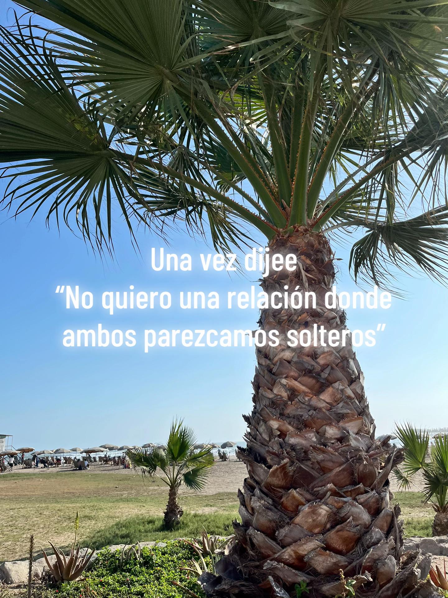 @Ingrid