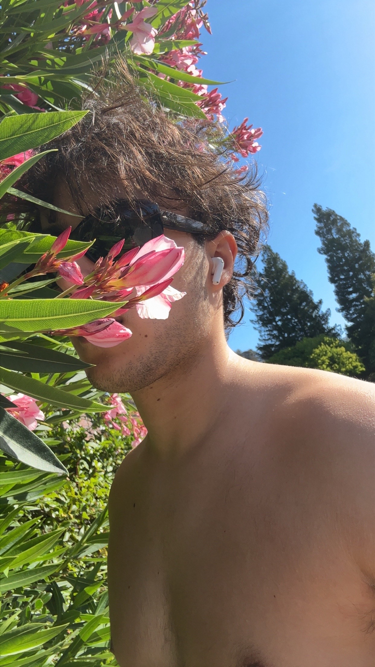 @🌳