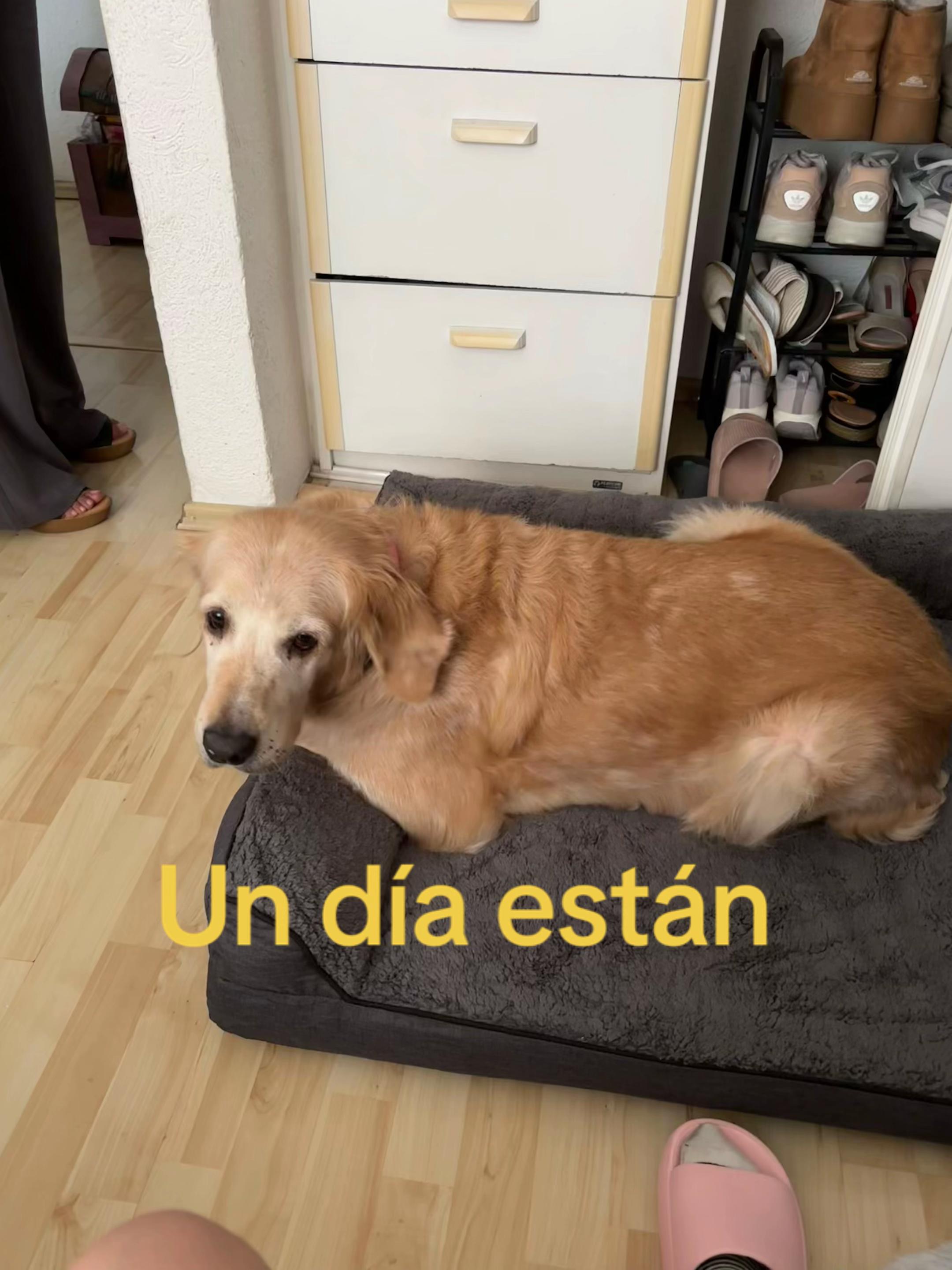 @: