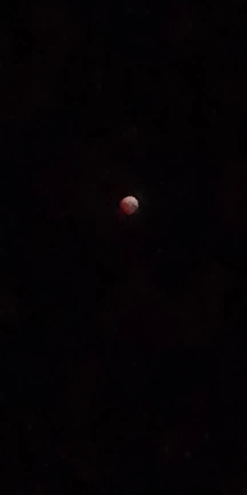 @📼╶⃝⃤luna.wolf╶⃝⃤📼