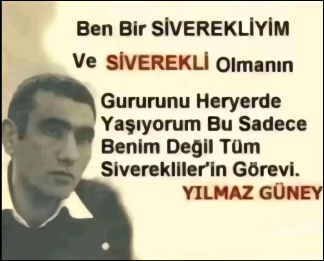@ali_seyhanli21