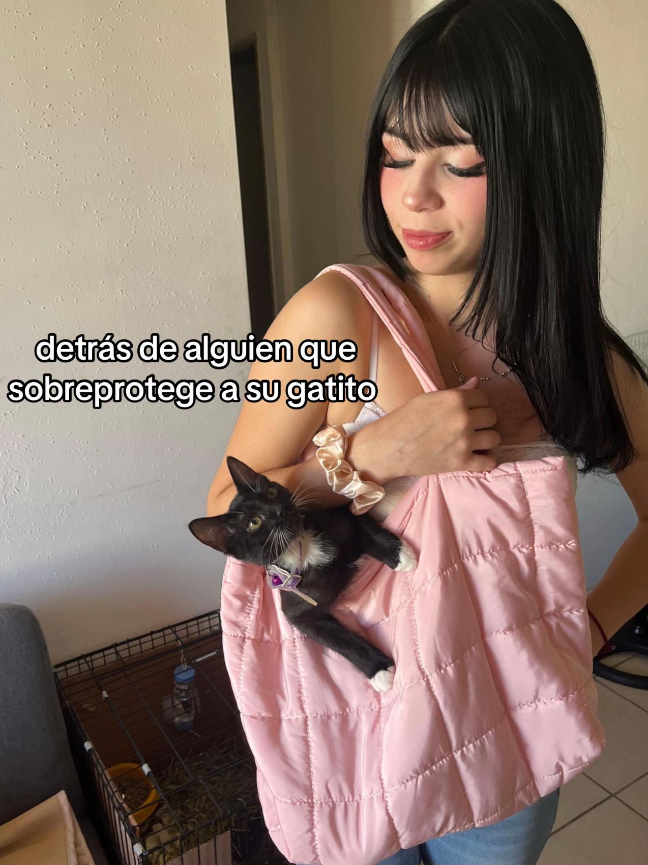 @𝐴𝑛𝑔𝑒𝑙𝑎🐈⬛