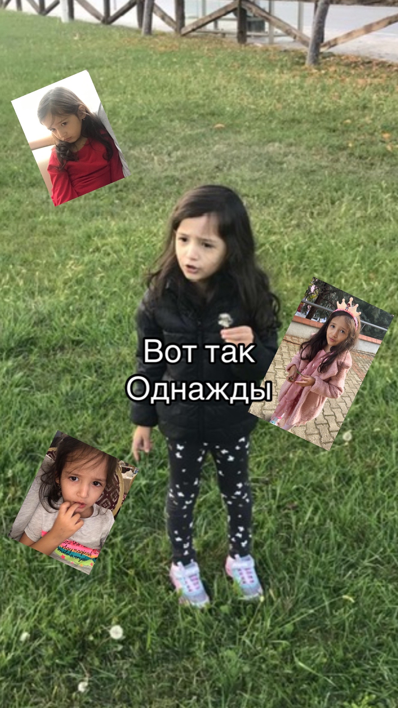 @Пирожное нацуки| ྀིྀི🎀🪭