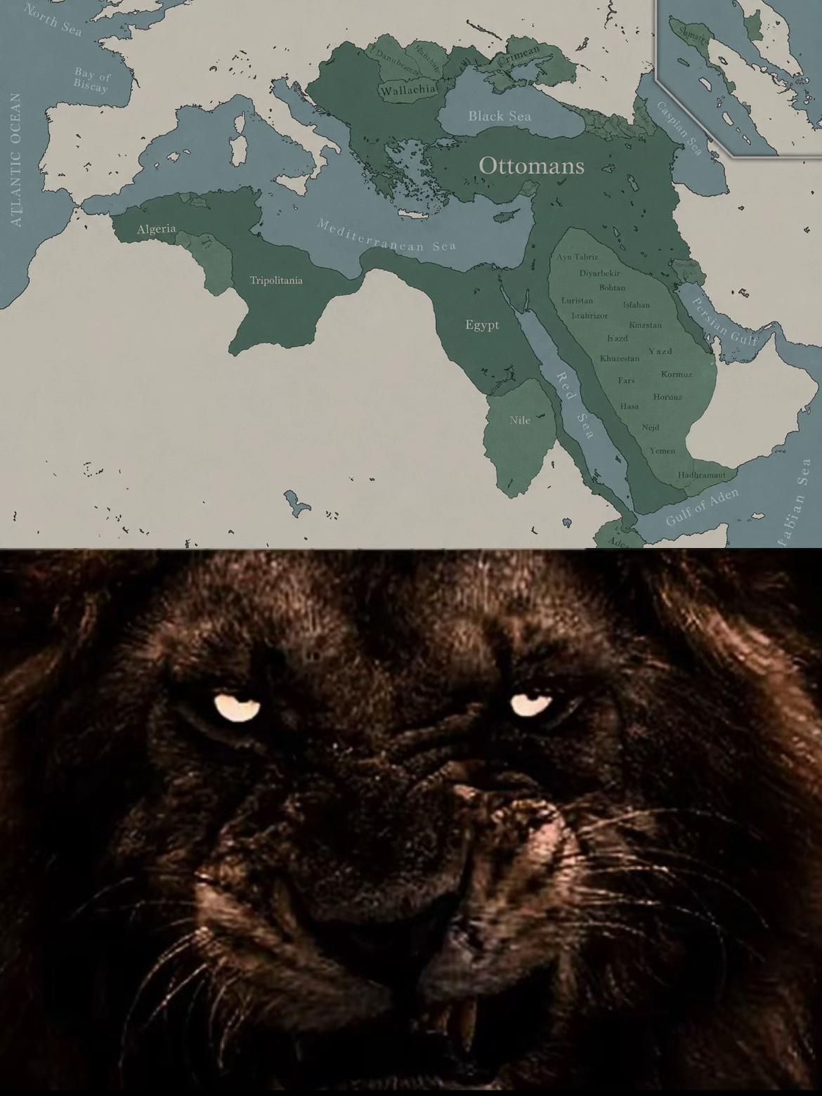@Talha_𐱅𐰇𐰼𐰜🇹🇷