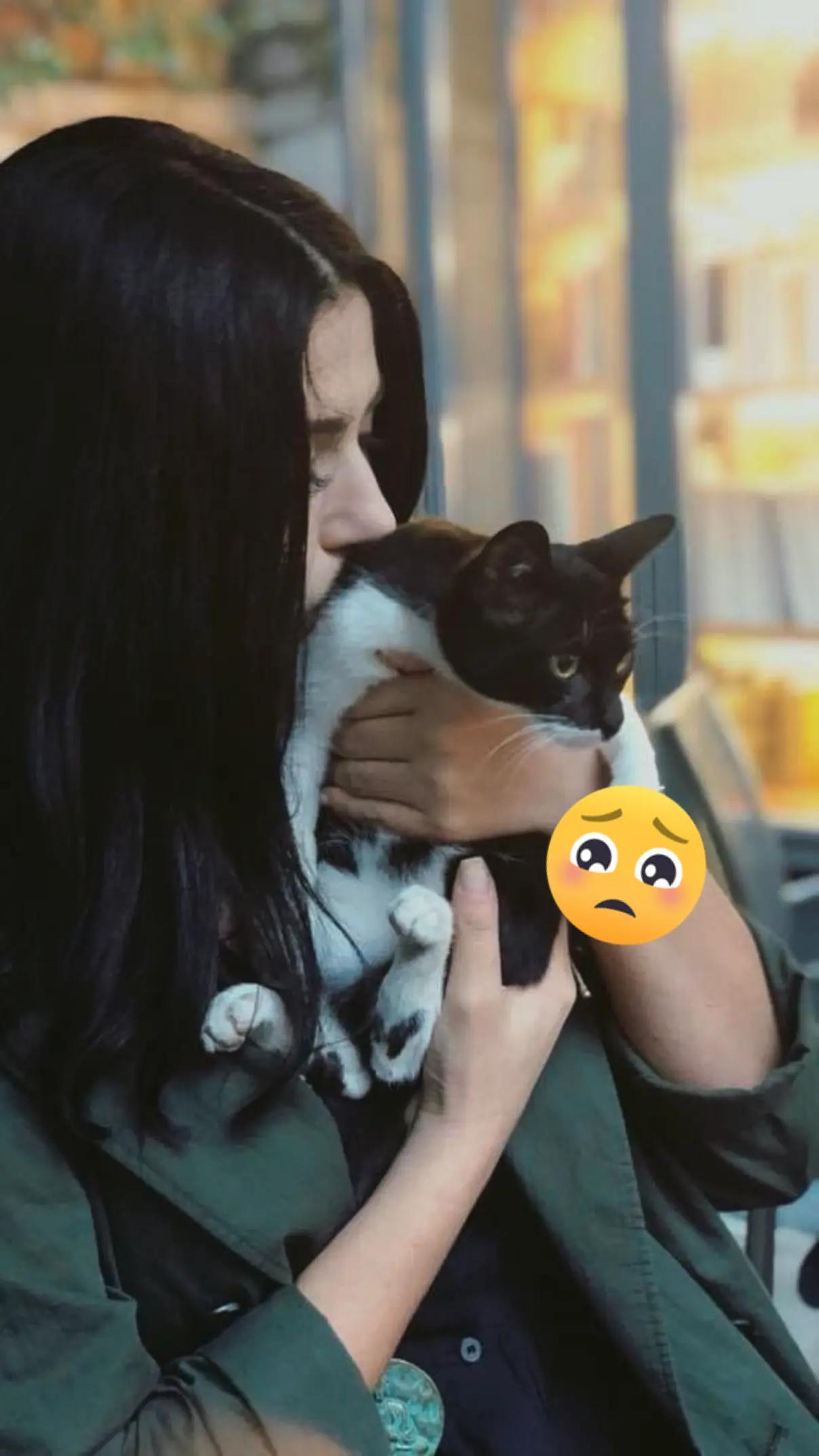 @Leyla 🇦🇿