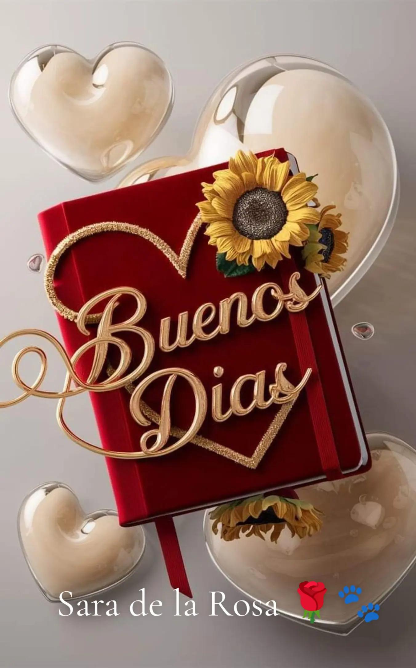 @Chaparrita ☺️❤️🧡💛🩵💙💜2025