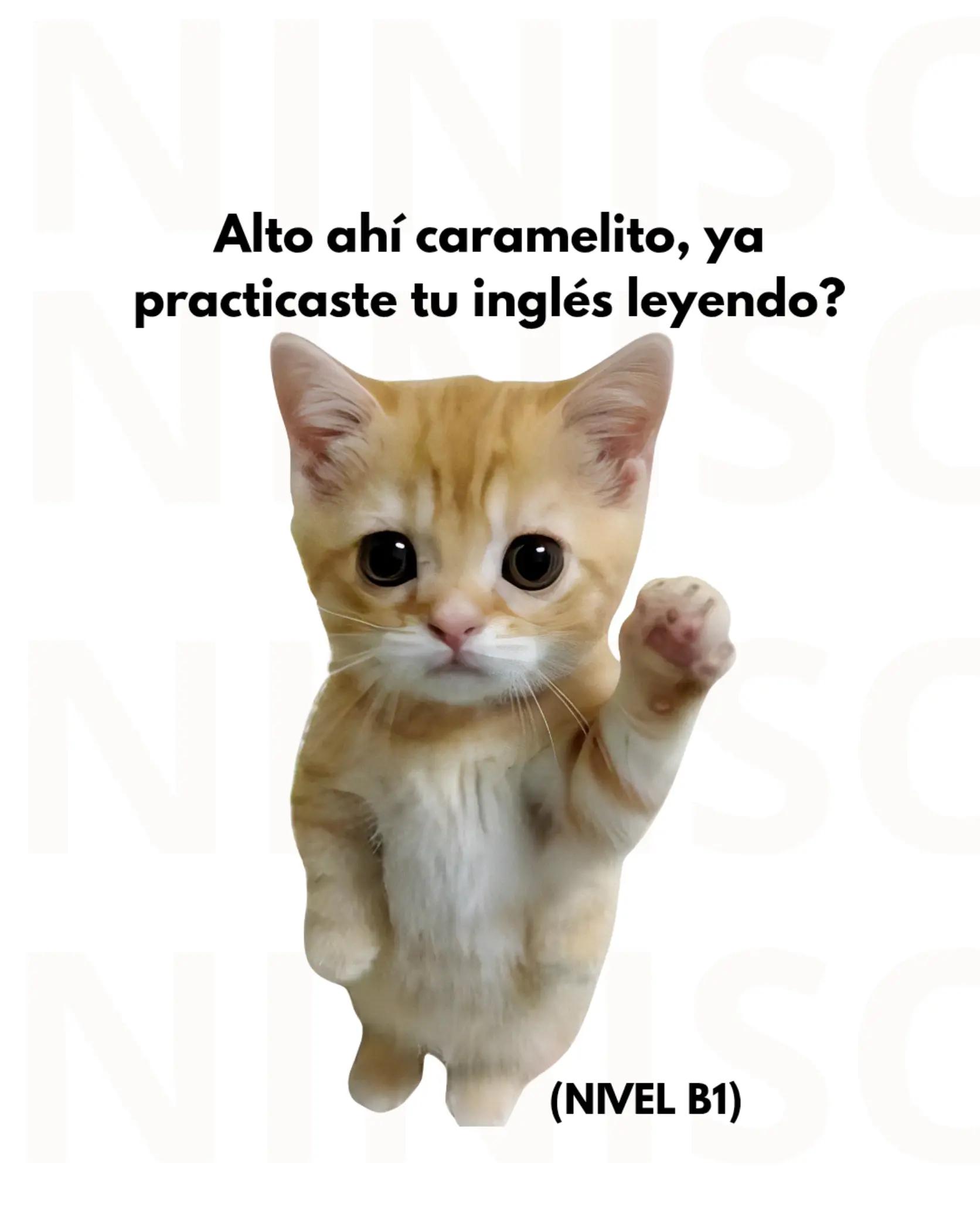 @practicainglescaramelito
