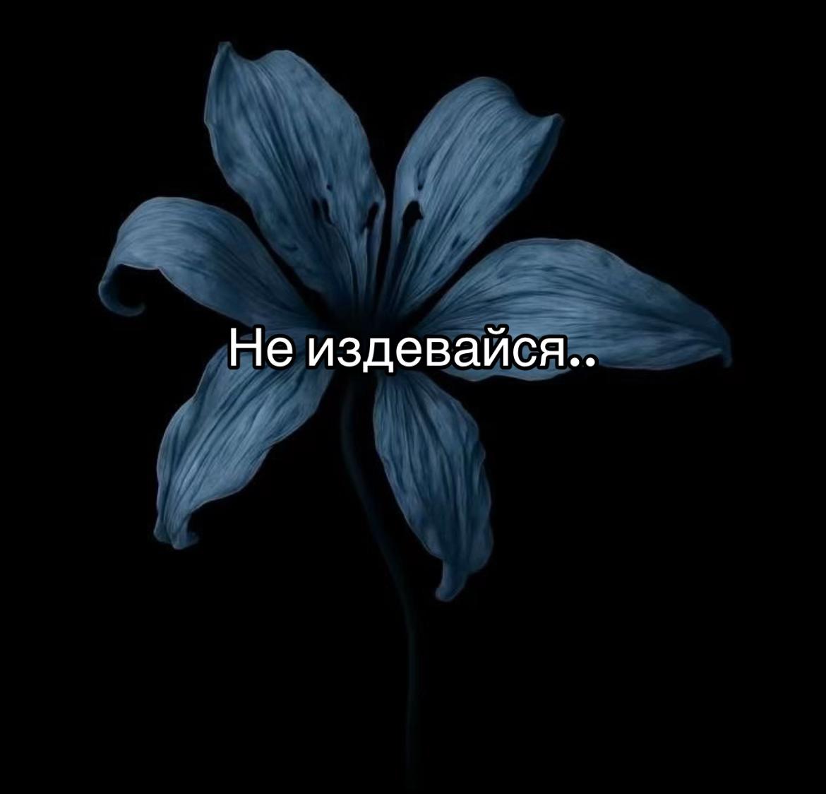 @TНОRFINN'🌗
