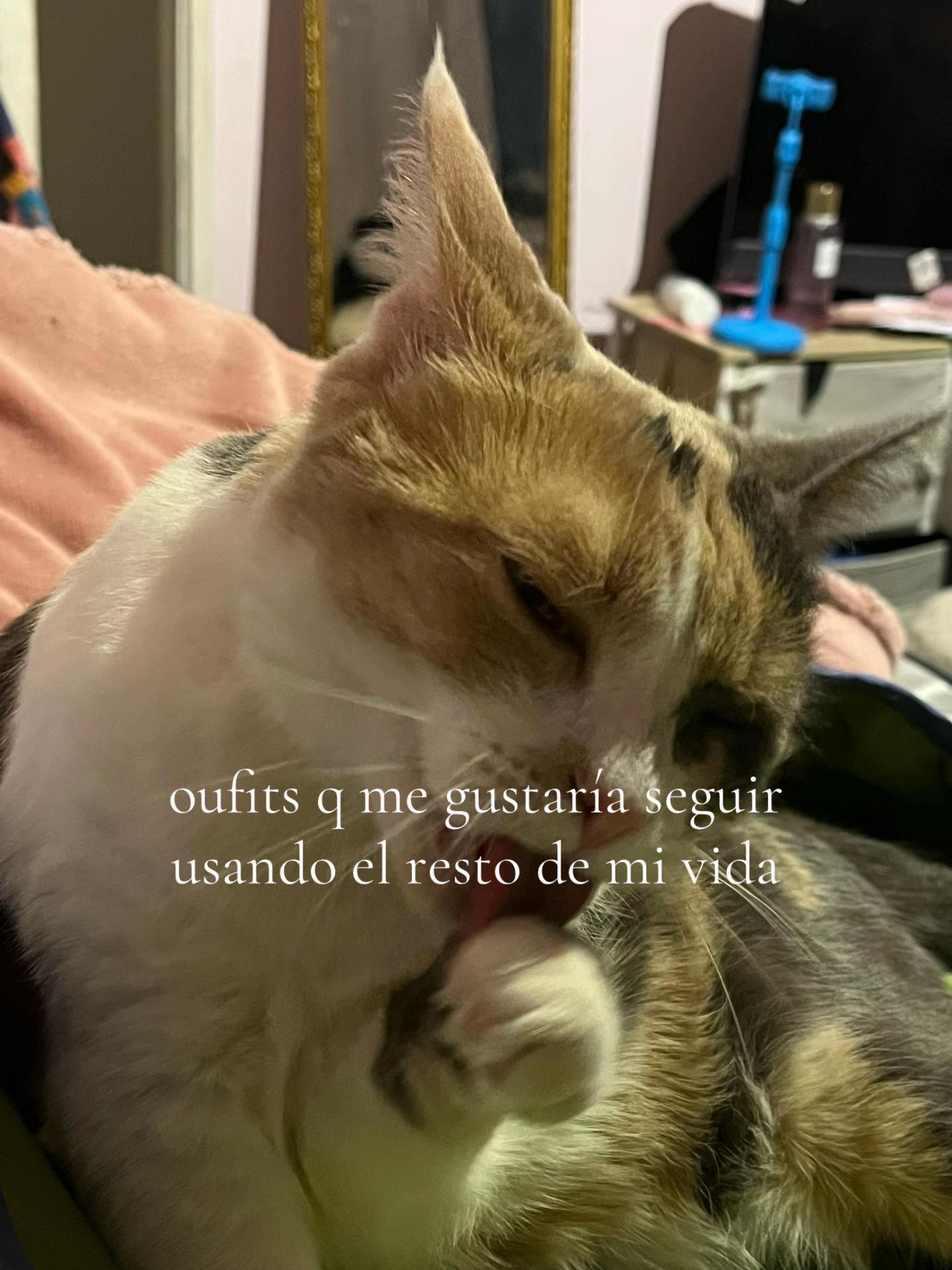 @🤍