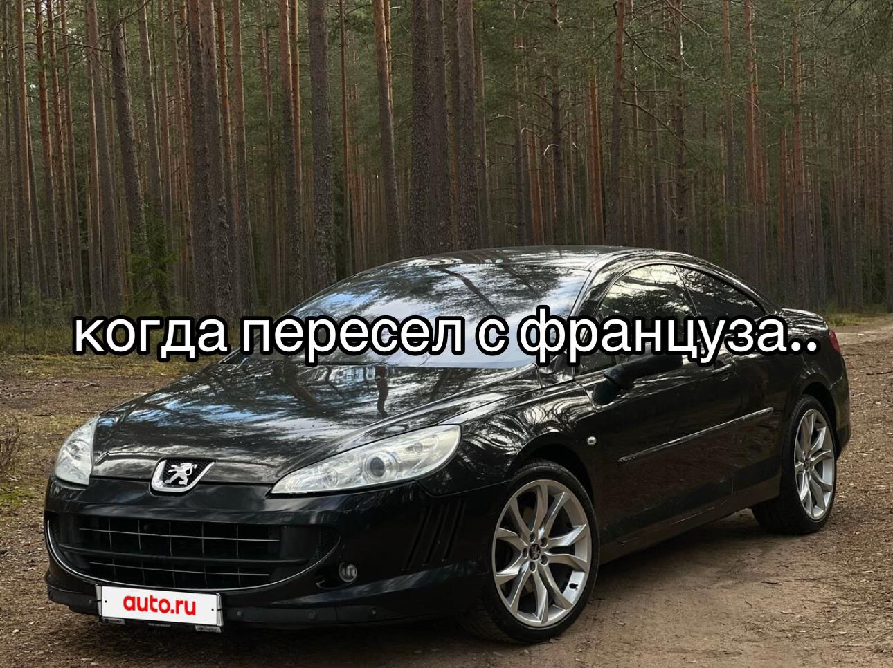 @Luxx_Polar