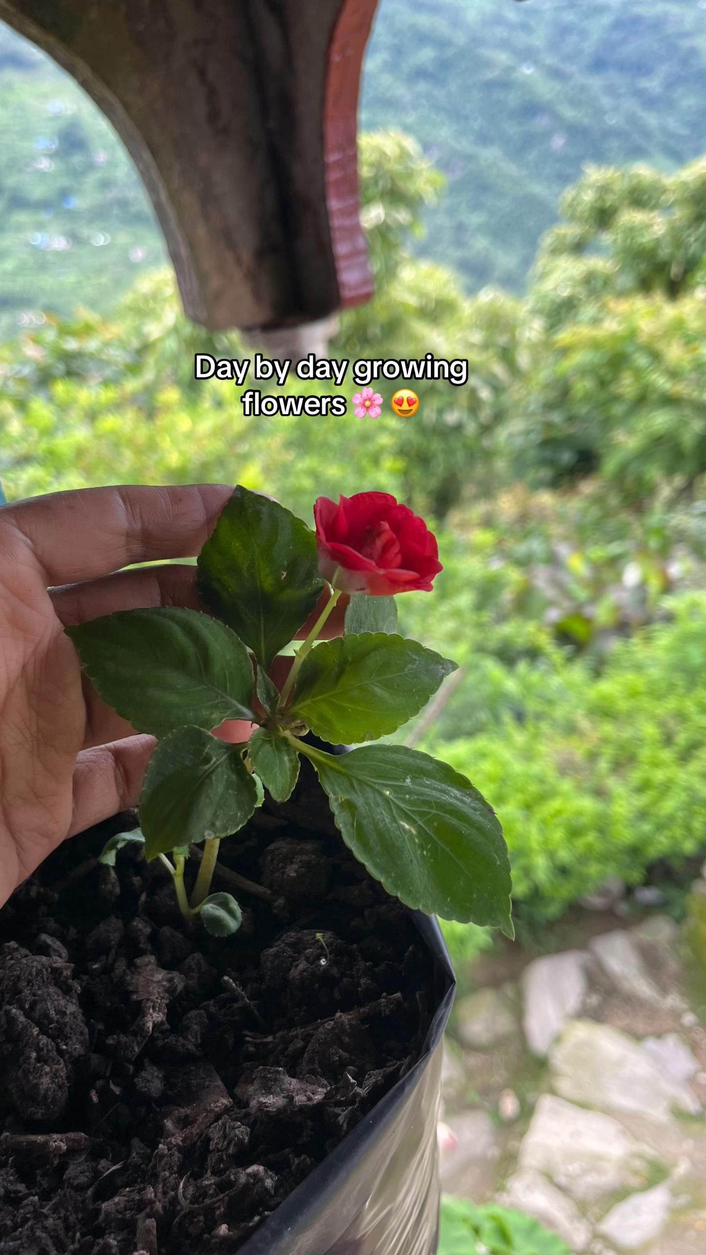 @रचना🫧🕊️