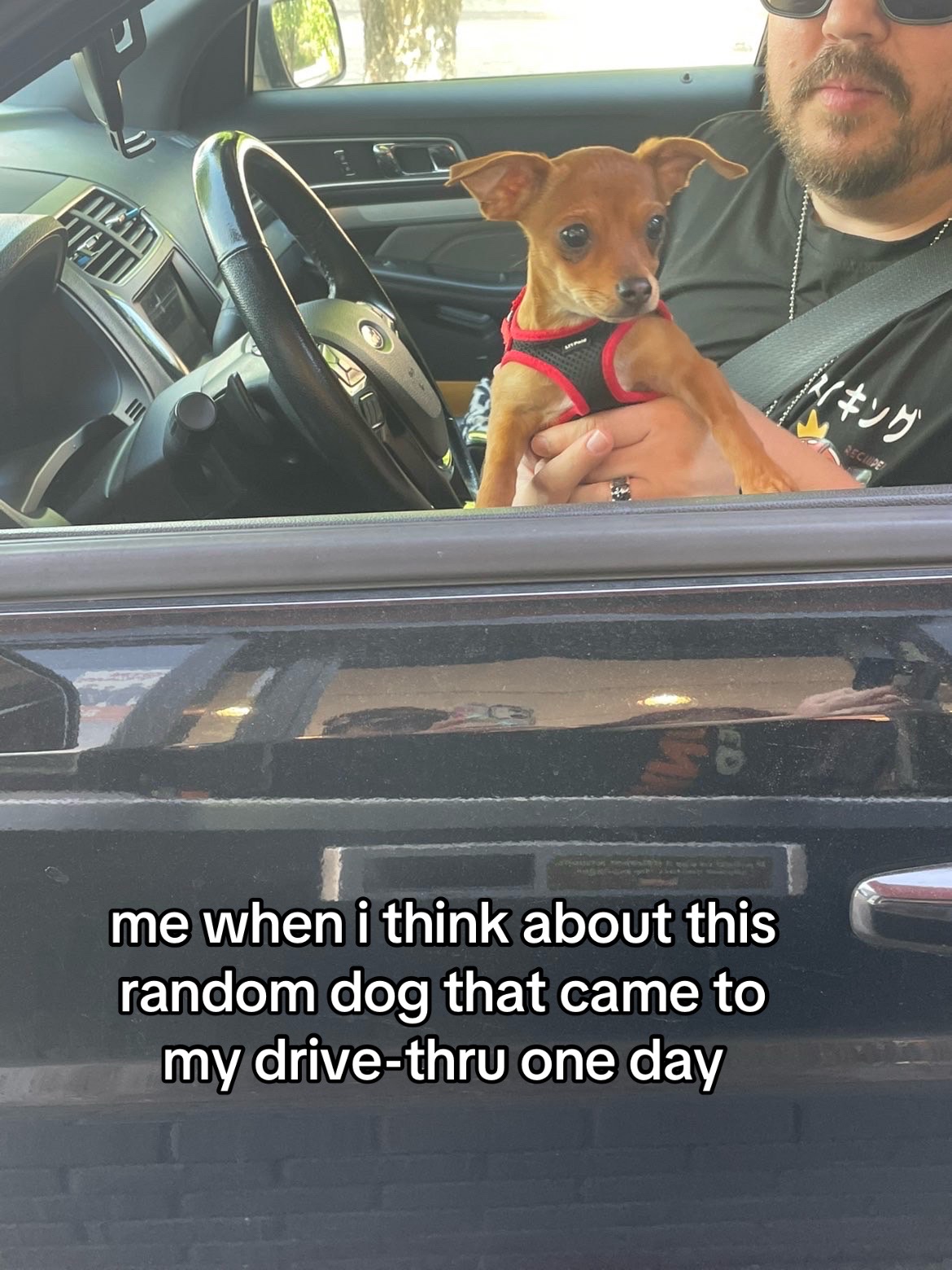 @absolutelyobliteratedrn