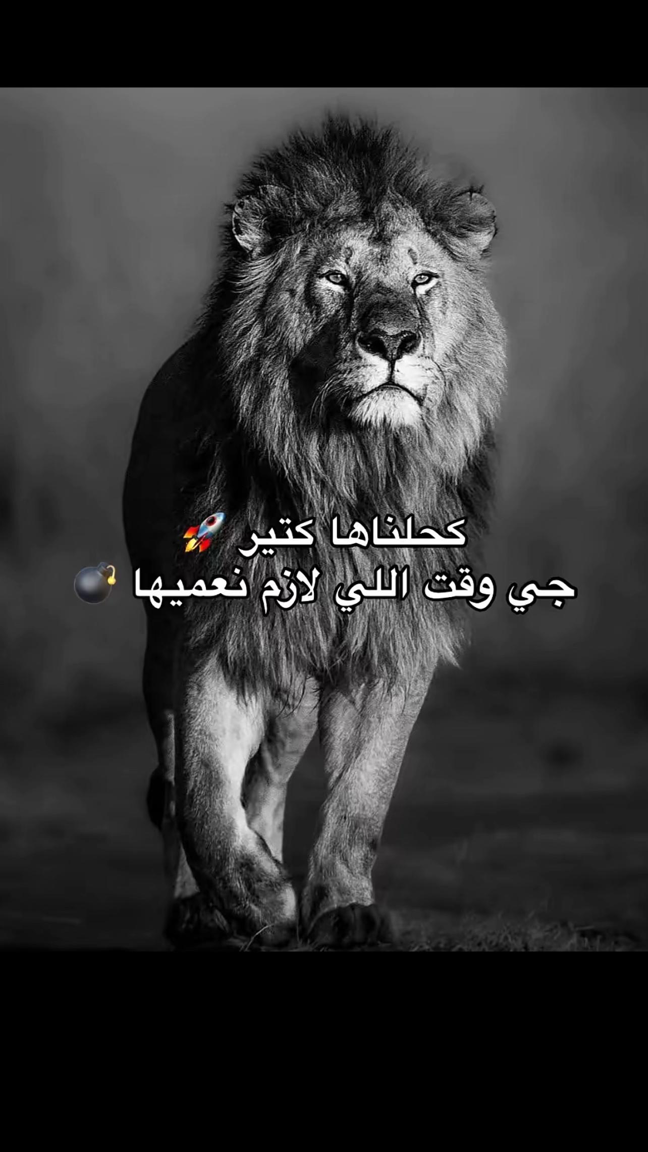 @🦁﮼حسين ﮼مزيكا🦁
