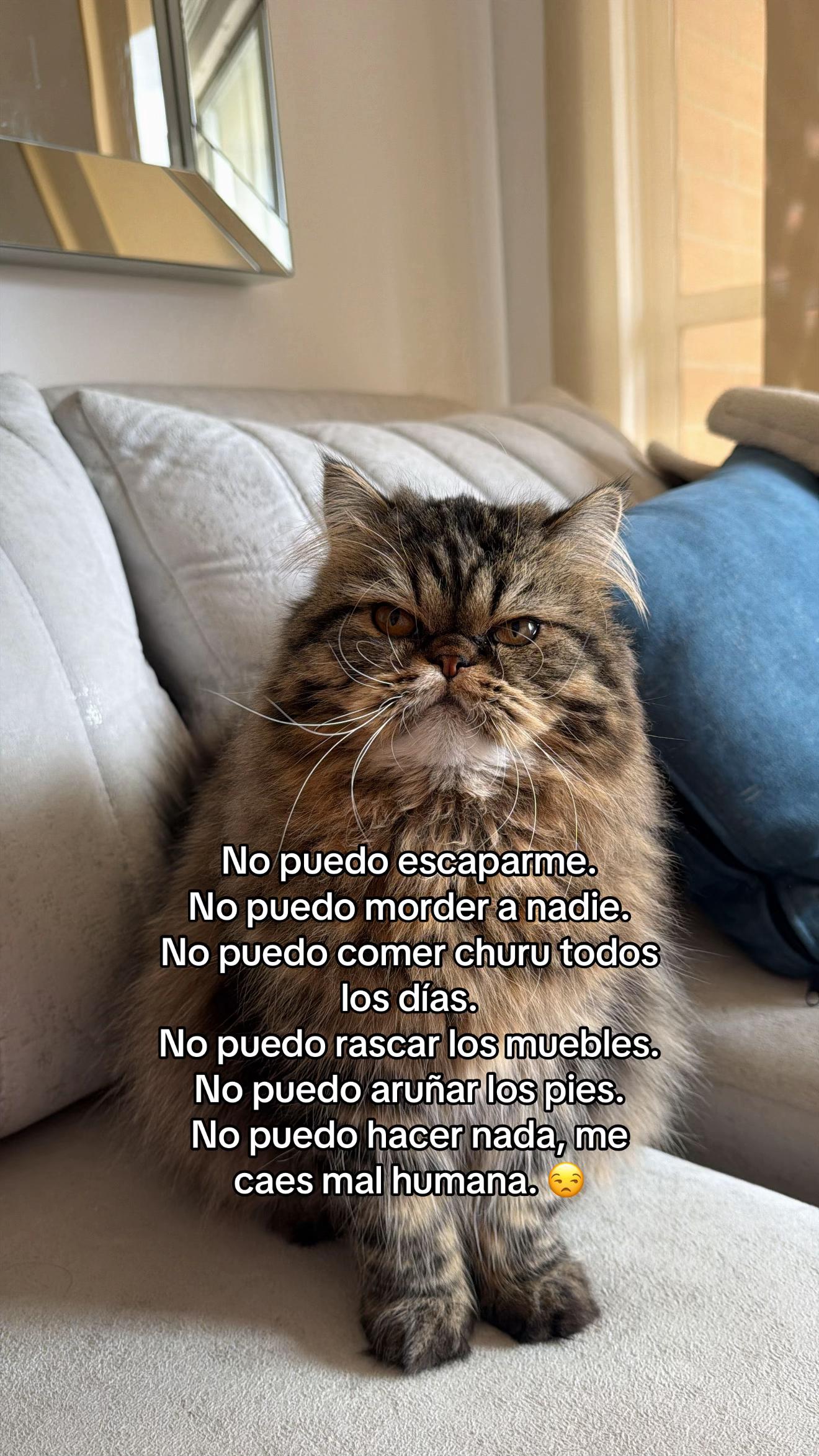 @Brenda García