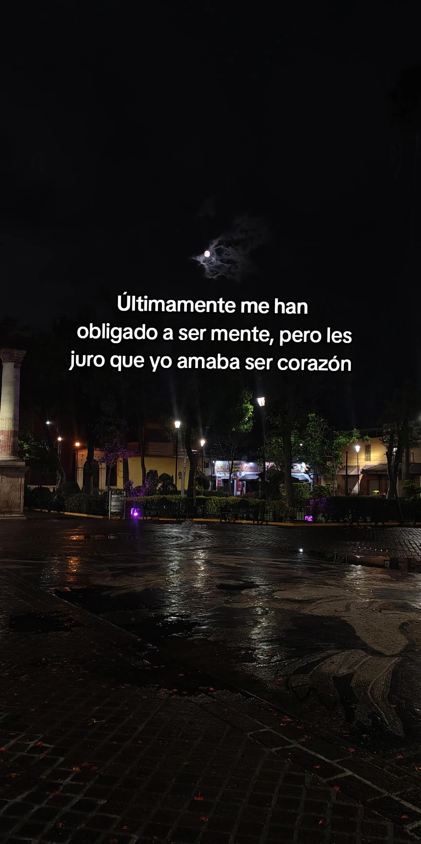 @Danny Romo🌷✨