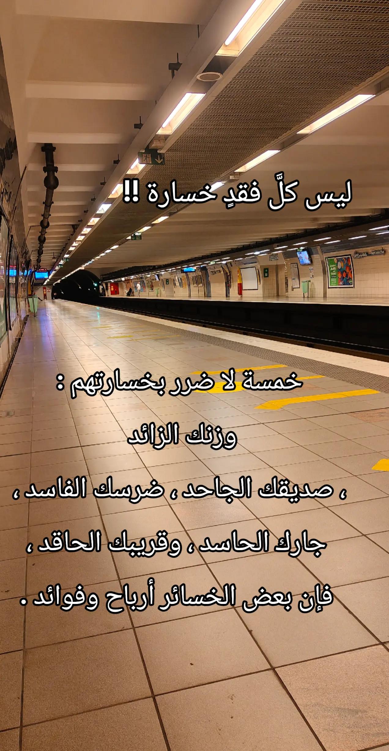 @🌹 خَلَفْ لِخَيْرِ سلَفْ 🌸📚
