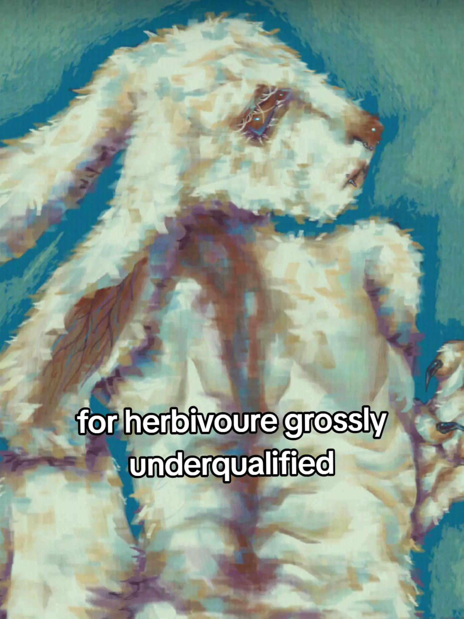 @bon