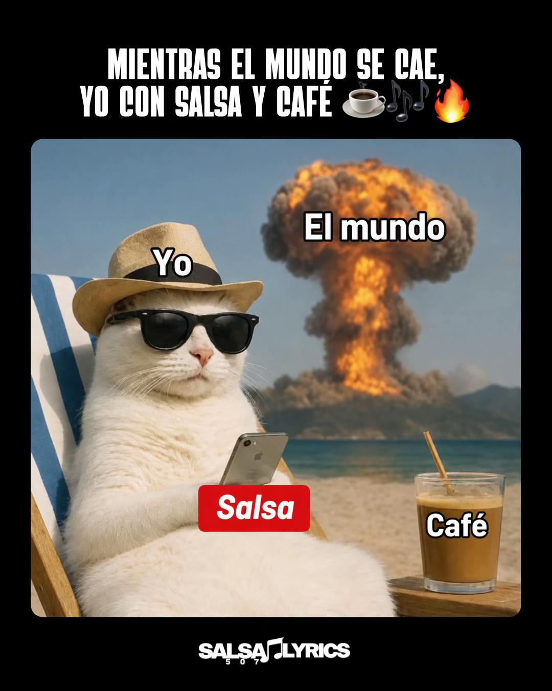 @Sαᥣsα Lყrιᴄs 507