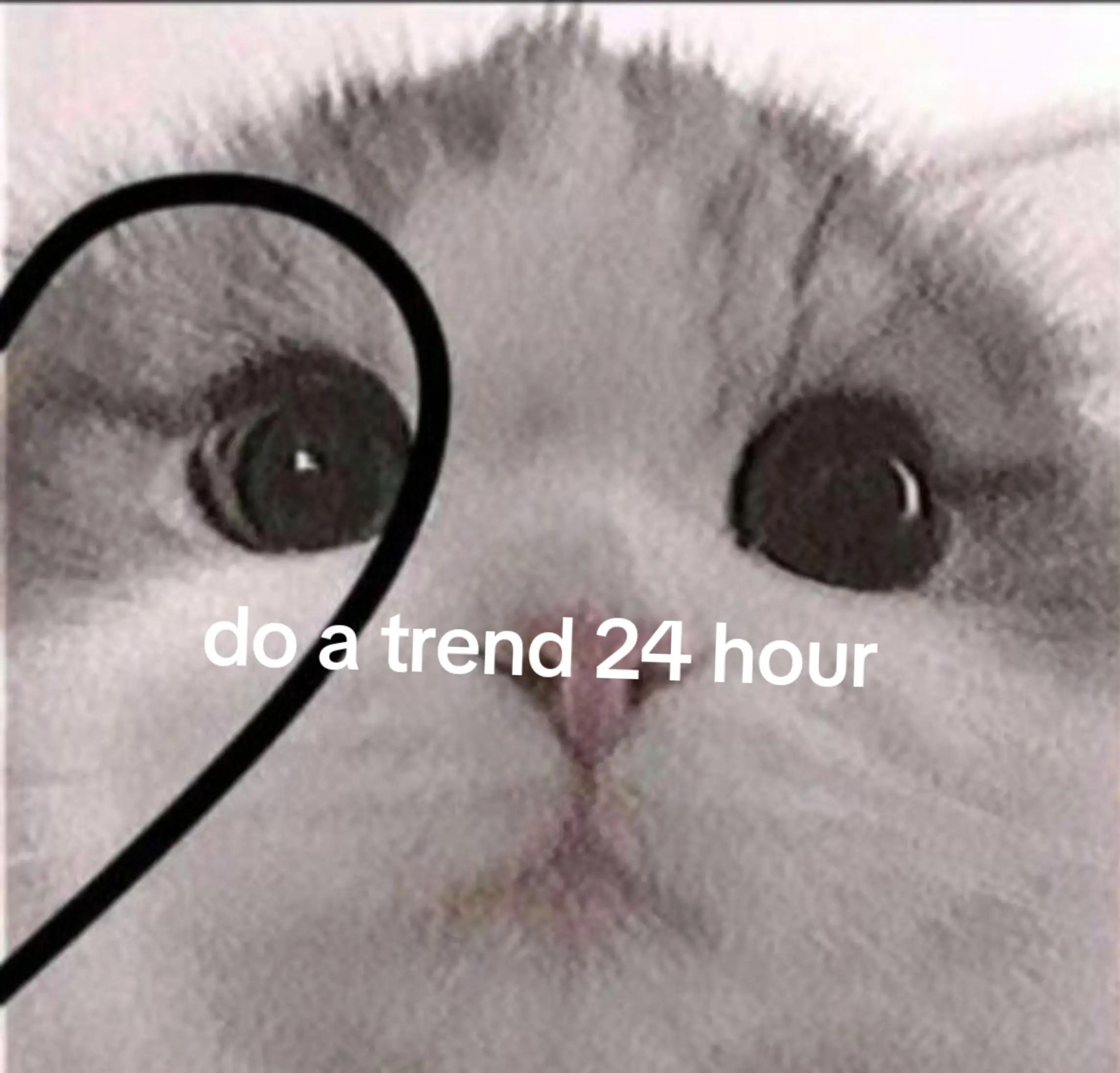 @𝑑𝑒𝑓𝑛𝑜𝑡_𝑙𝑖𝑒𝑒🤍