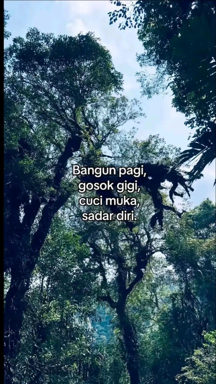@brayy