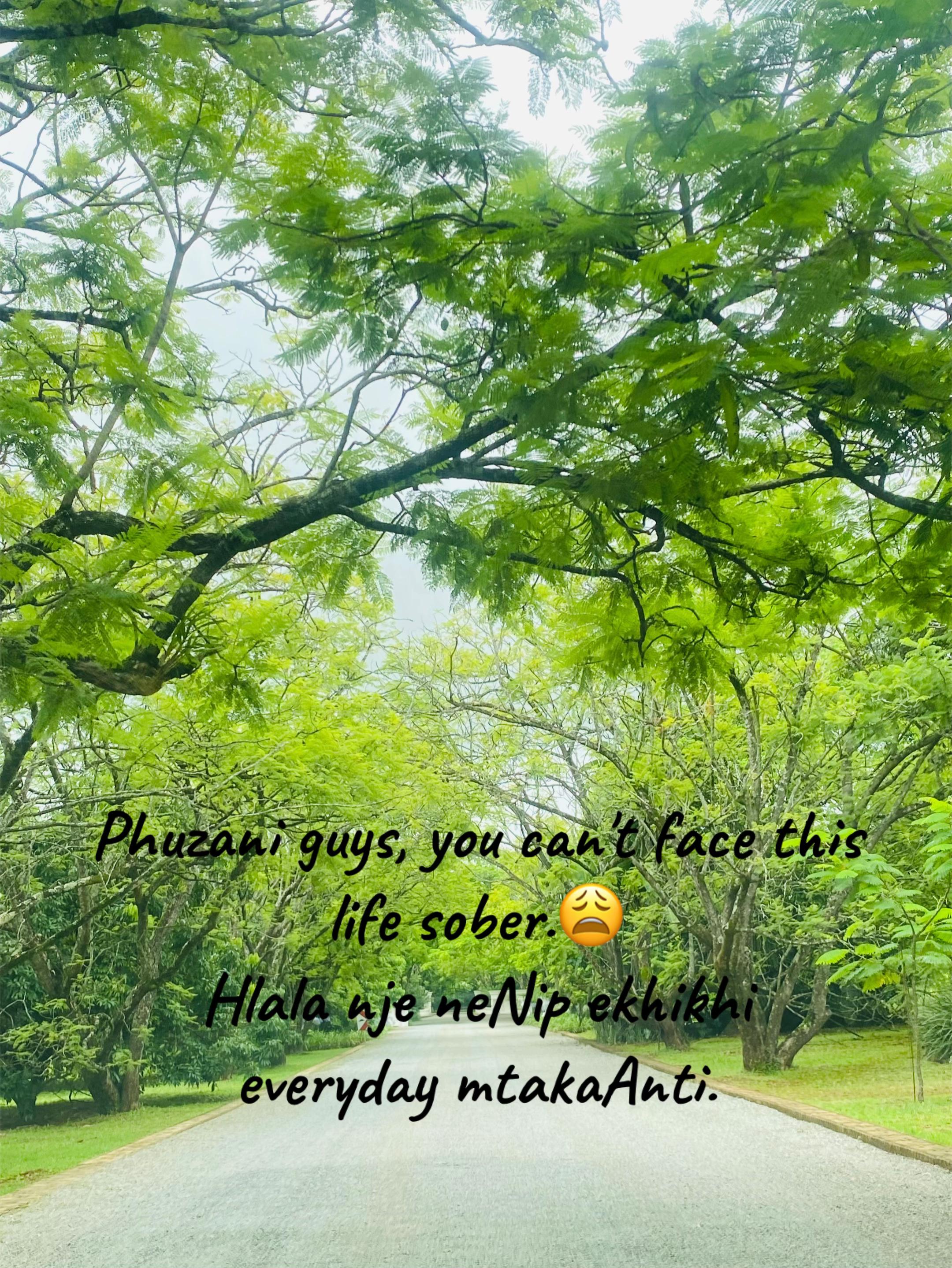 @M.M❤️