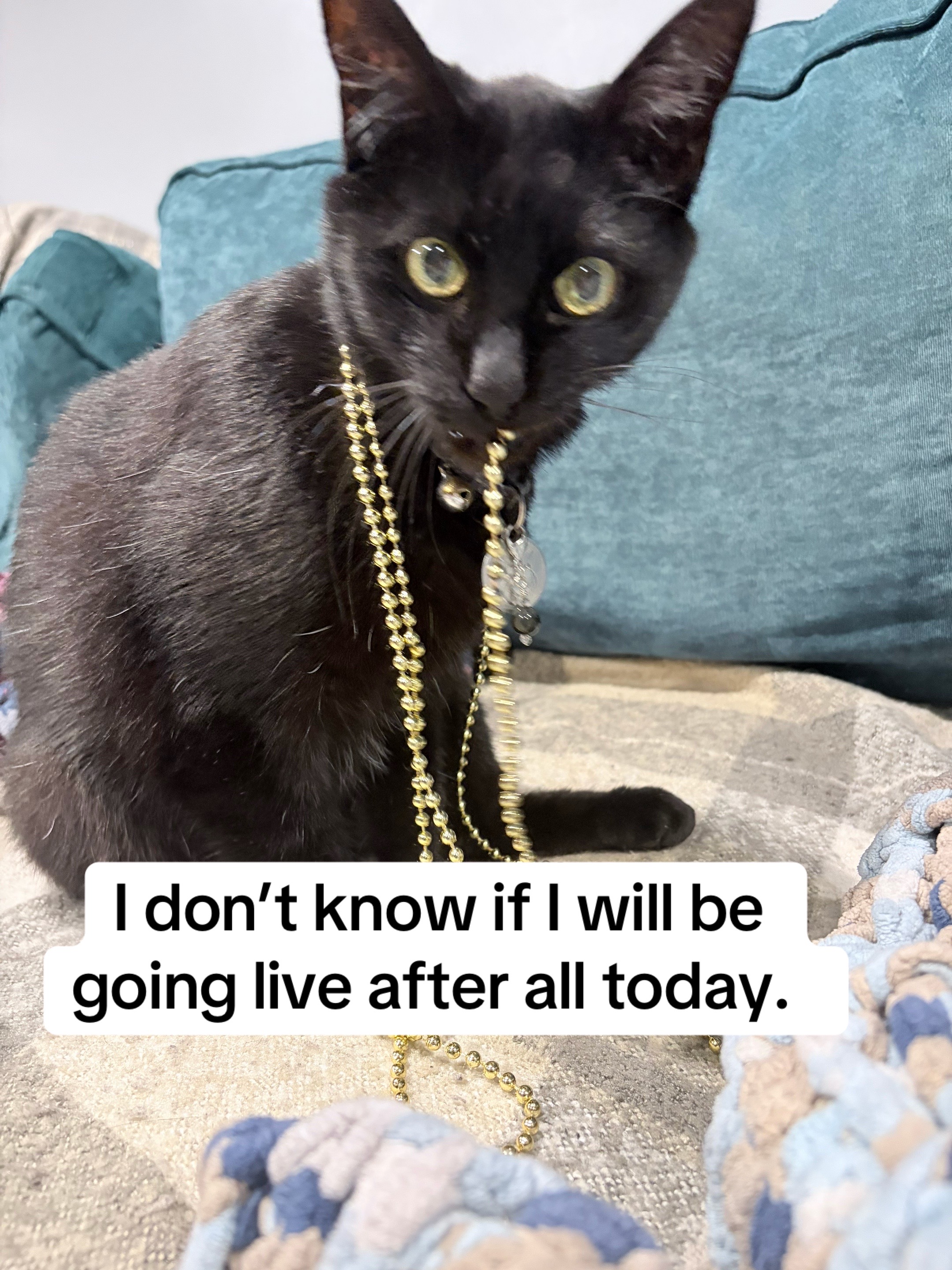 @🧿 Sarah Brynteson