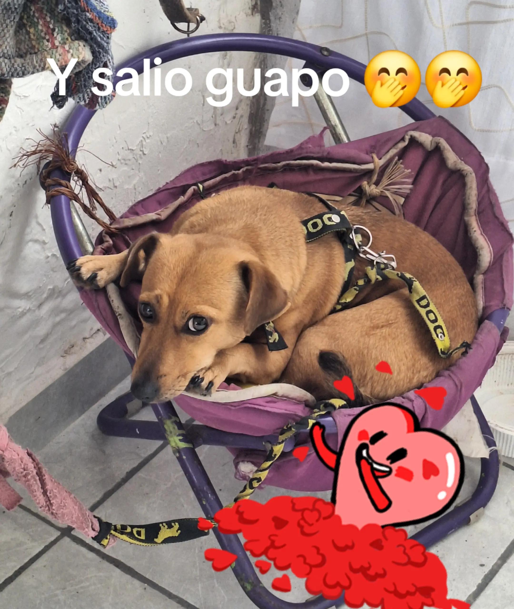 @elviira P.A