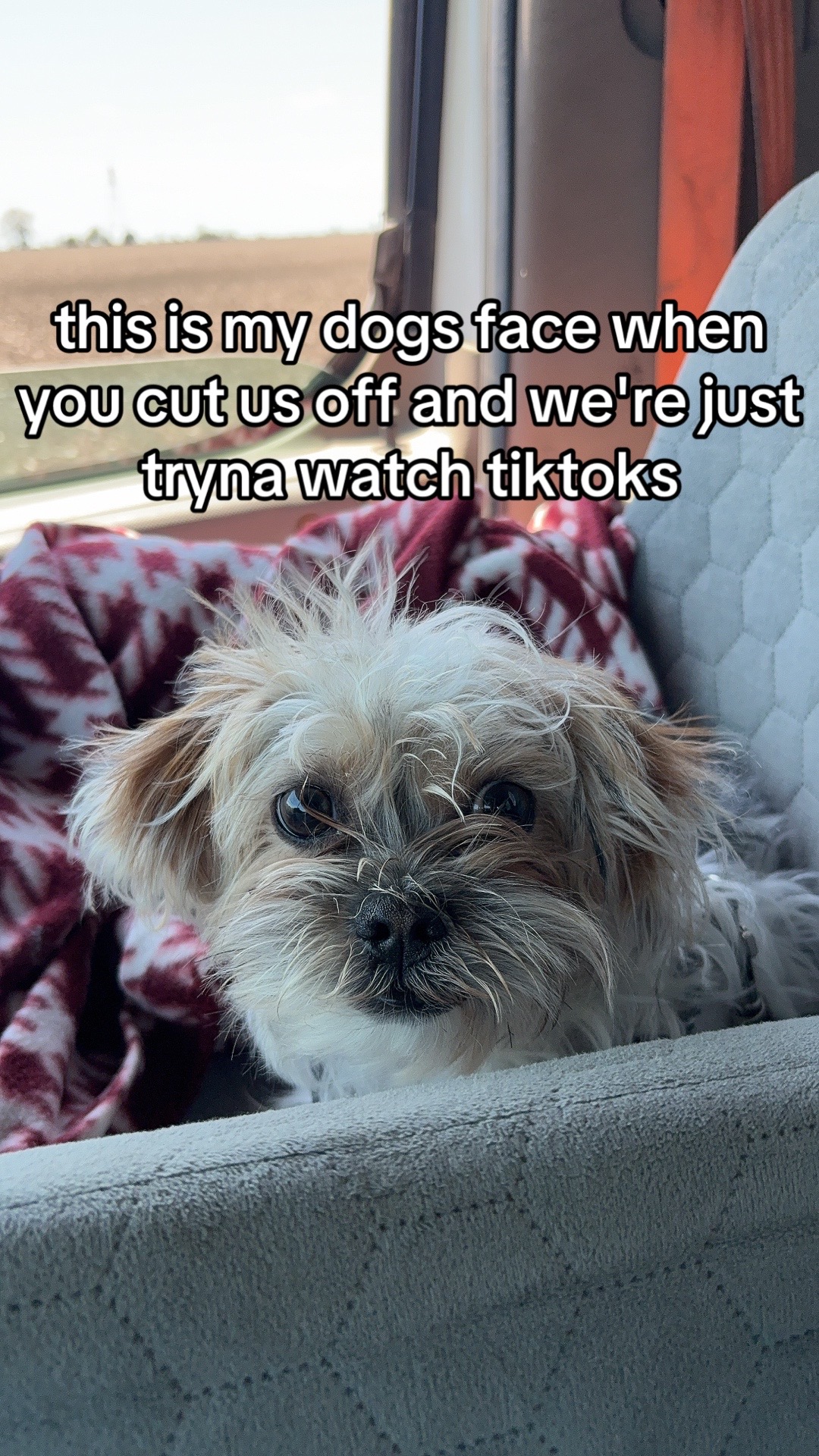 @niko