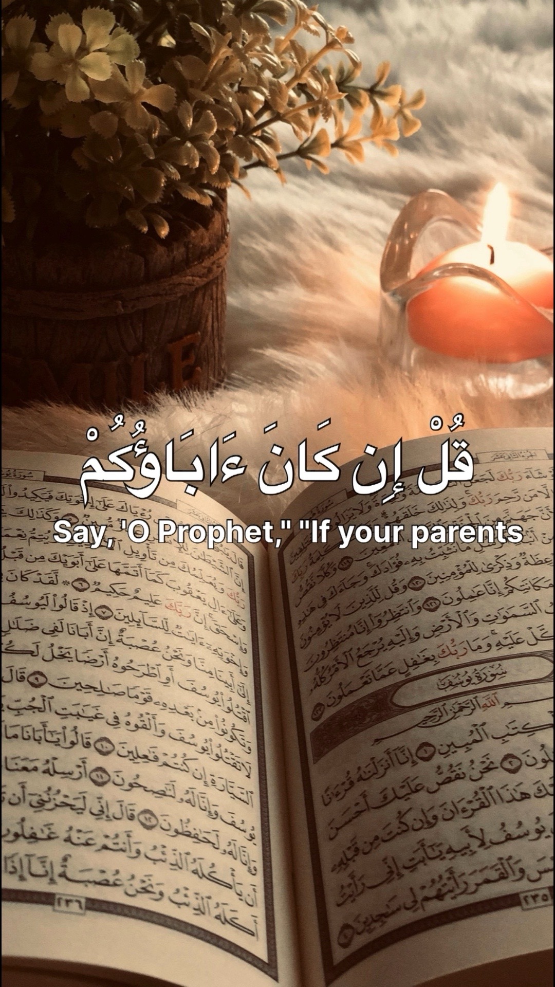 @Quran reciters