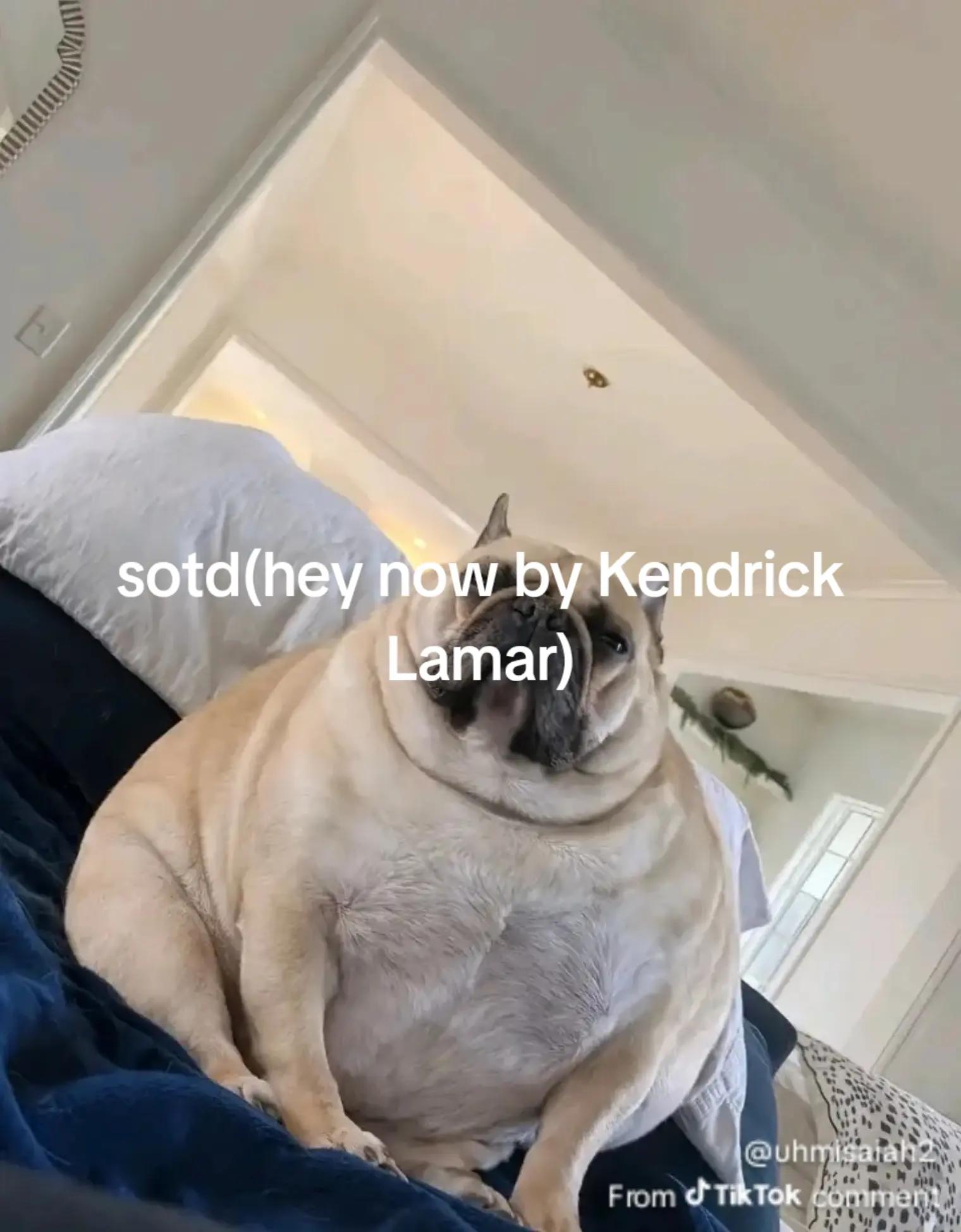 @MonkeyB01