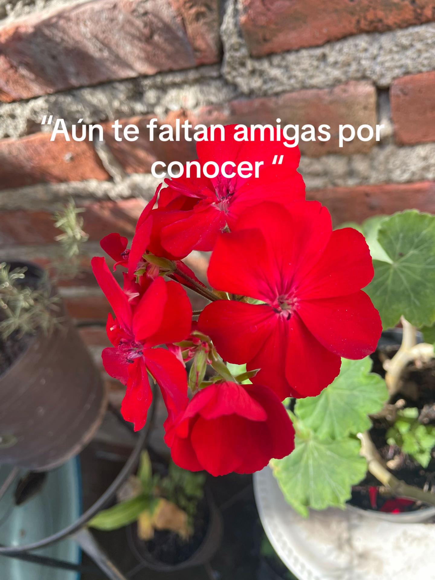 @•^~{Naty mora🫐}<~•