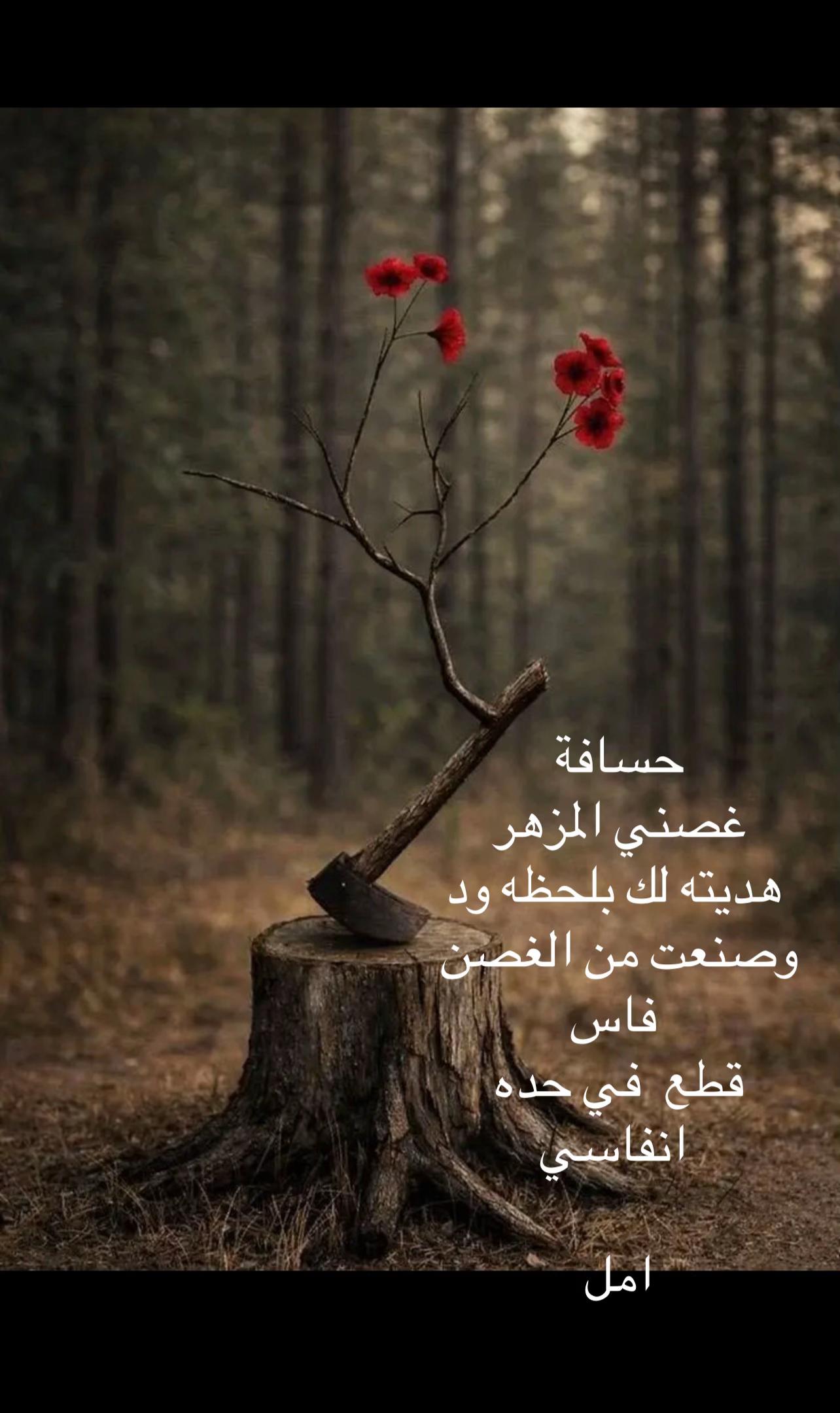 @أمل