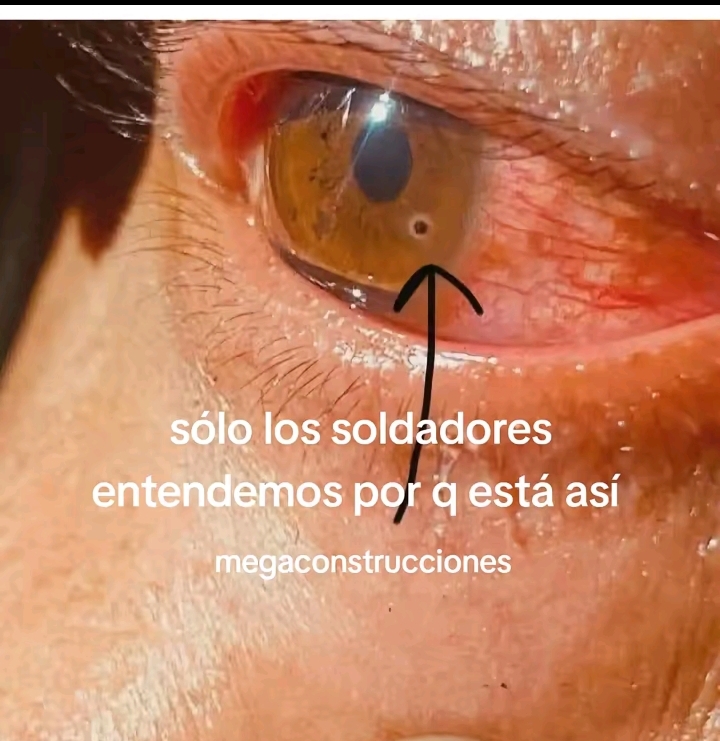 @moisés