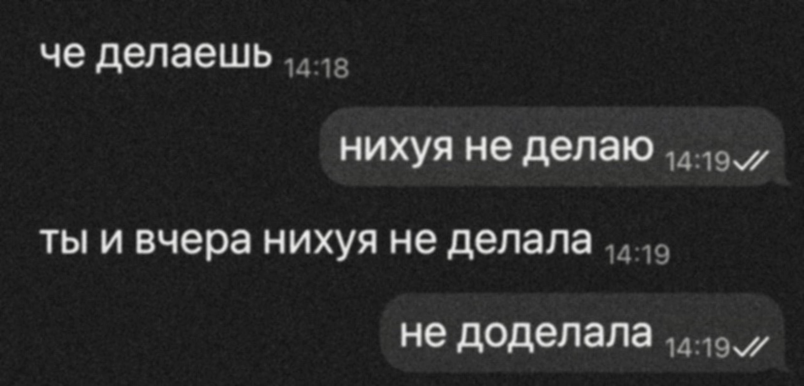 @₍^. .^₎⟆
