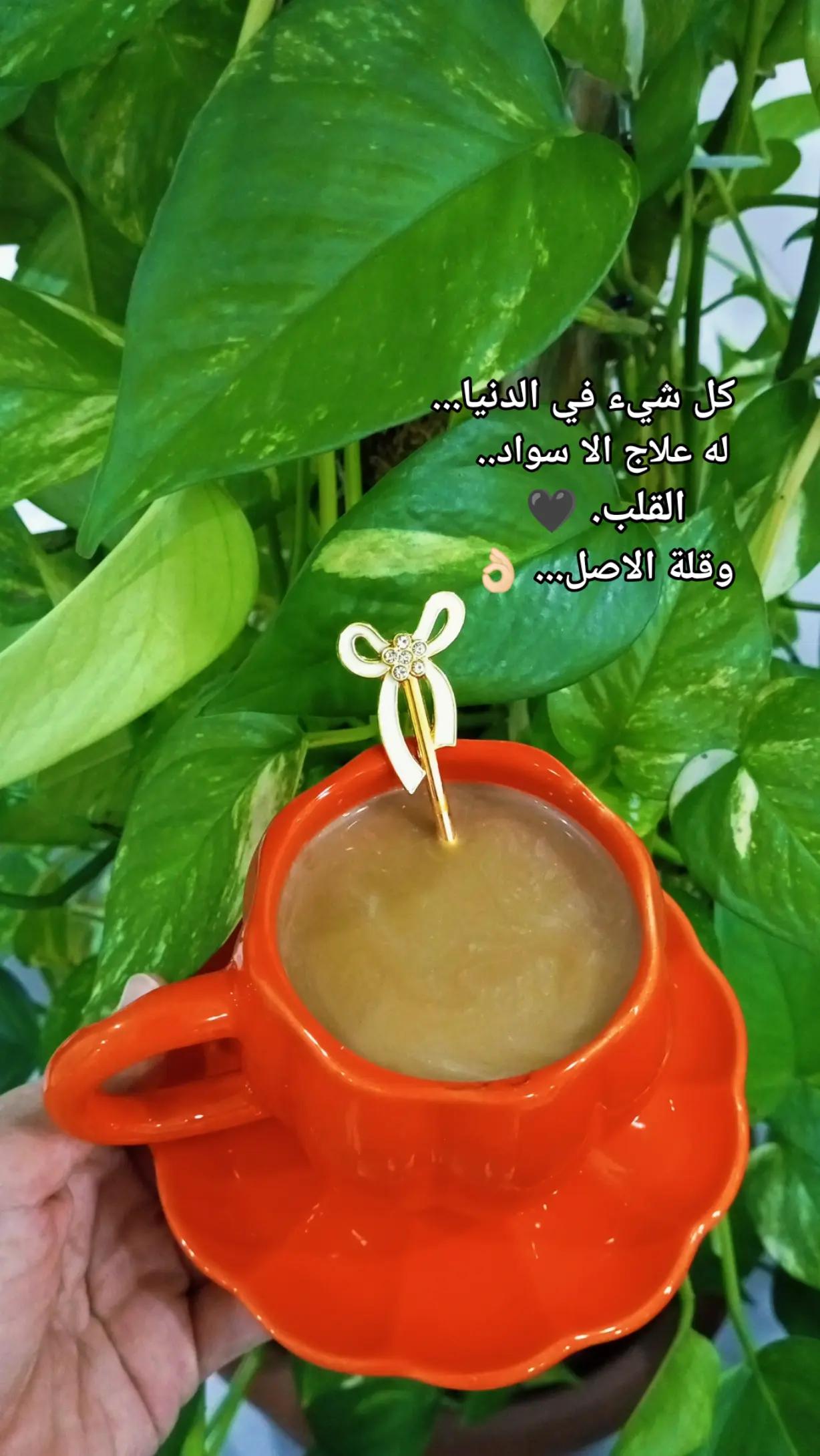 @🇹🇷🕊بنت الموصل 👑🇮🇶