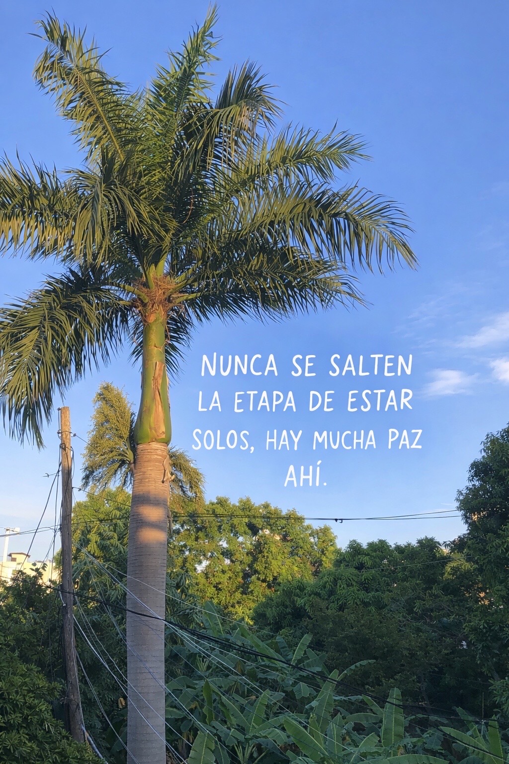 @Filo