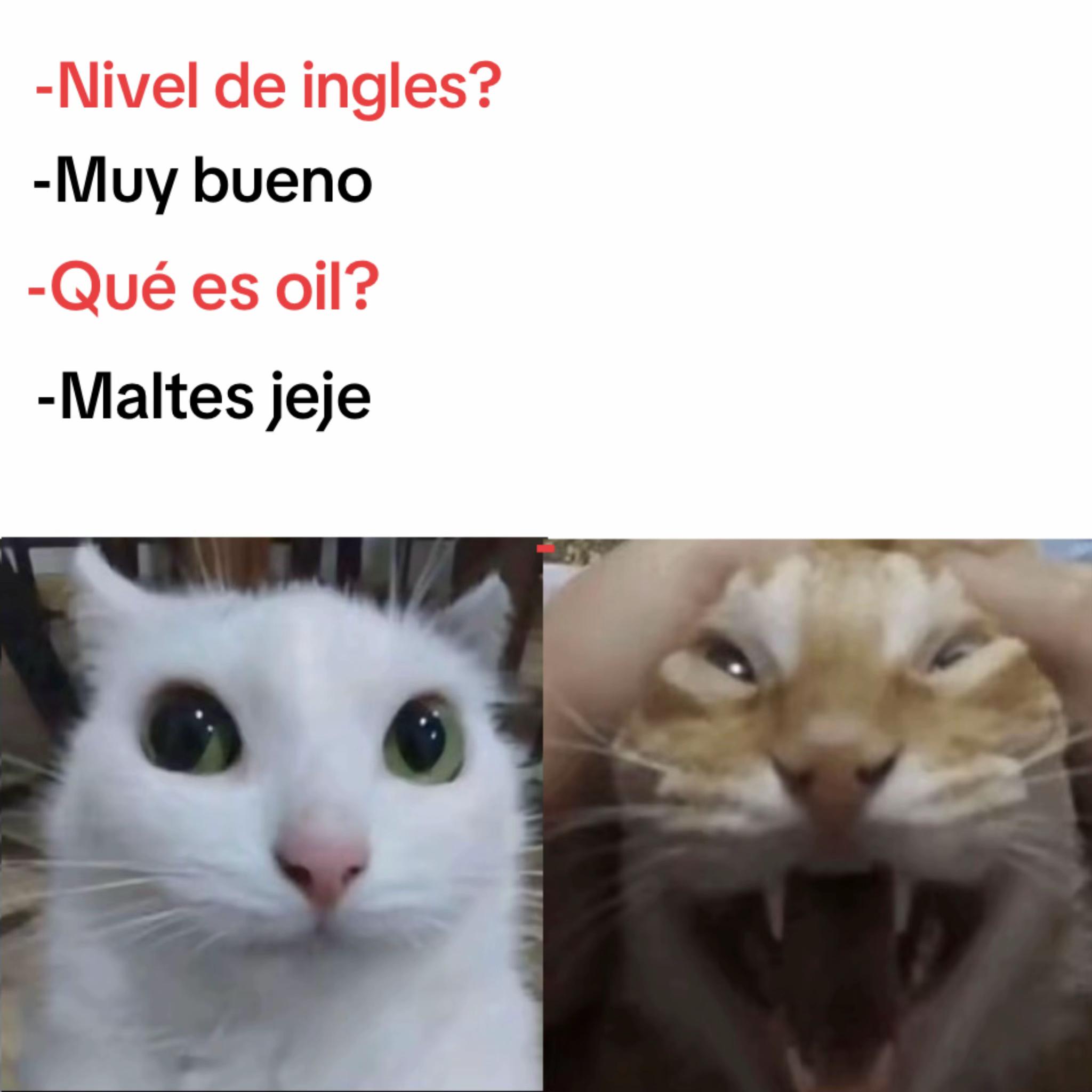 @momazosnegromarronjeje