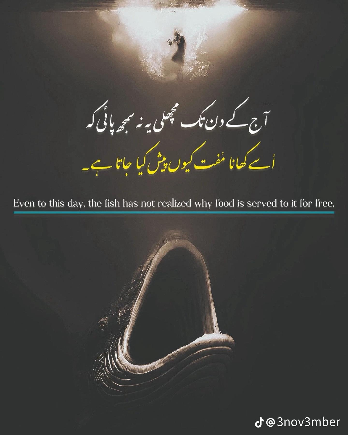 @Bilal K