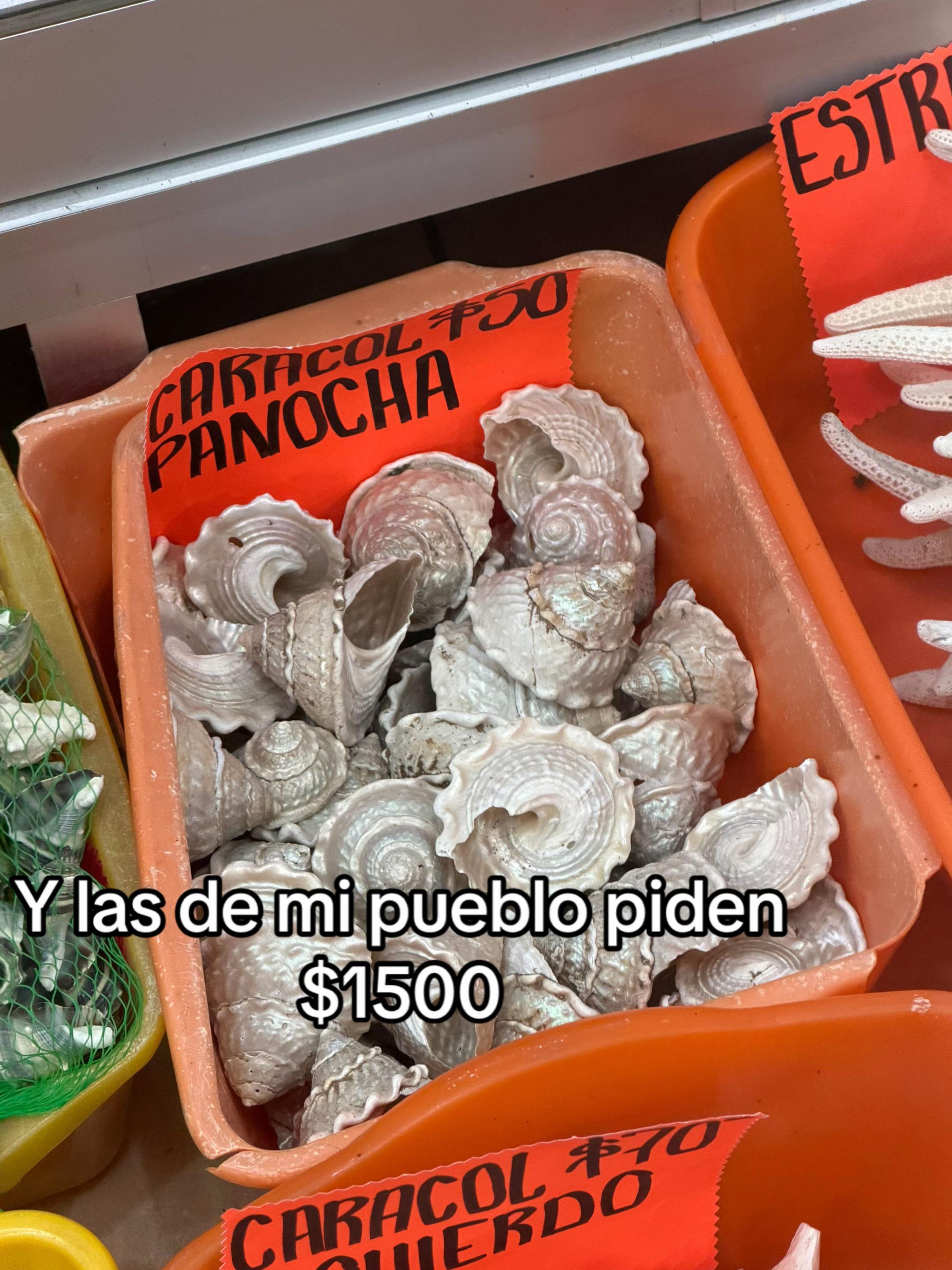 @Andrea Banda