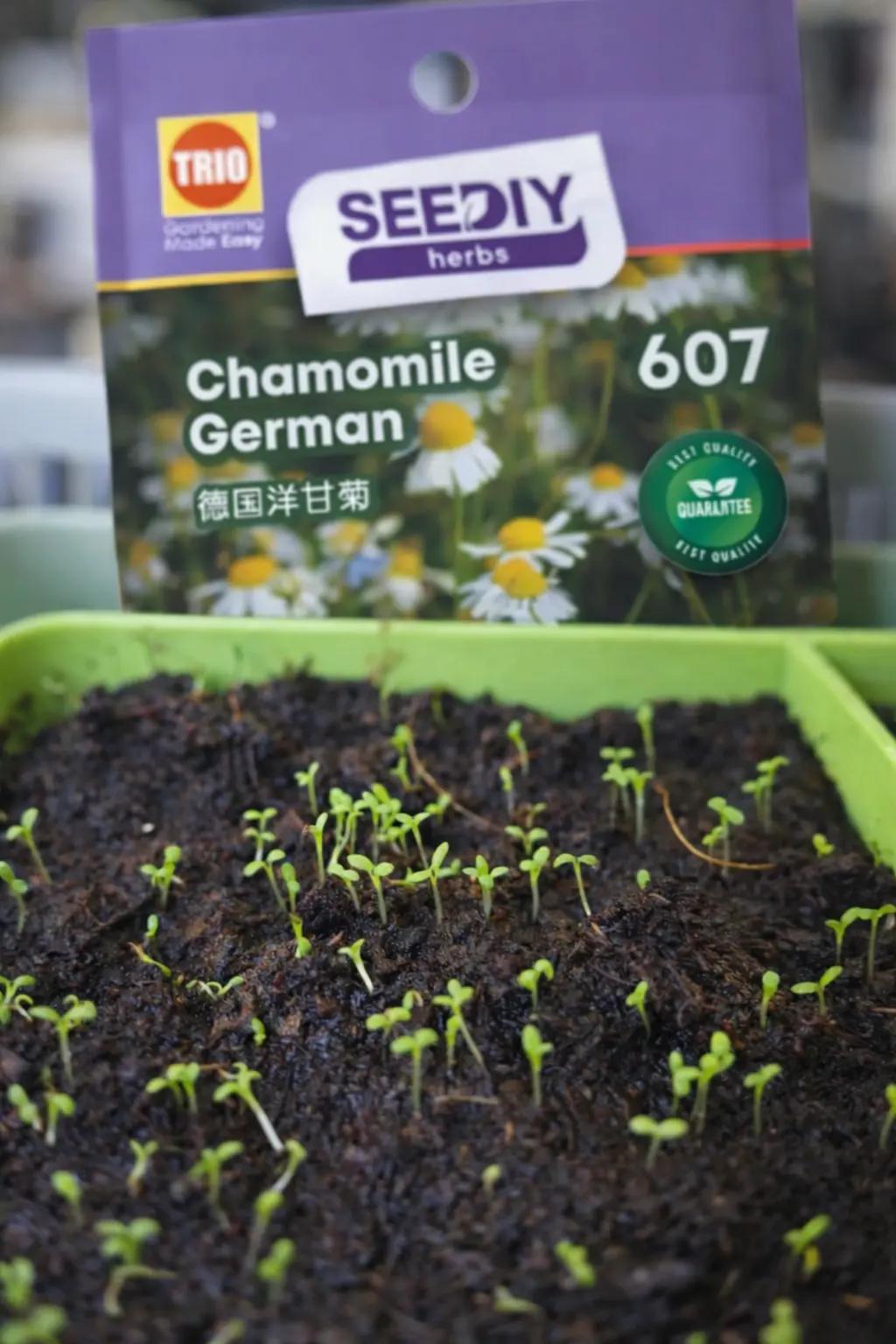 @TRIOgardening