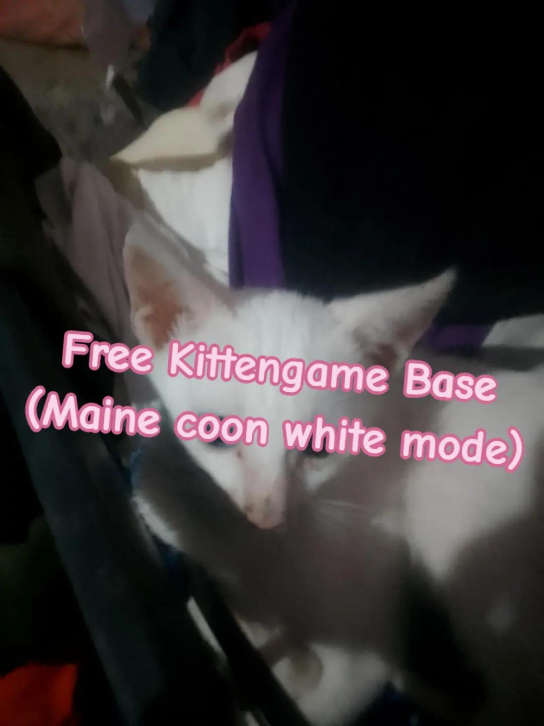 @::\-°~🍥𝑅𝑖𝑏𝑏𝑜𝑛𝑦🎀~°-/::