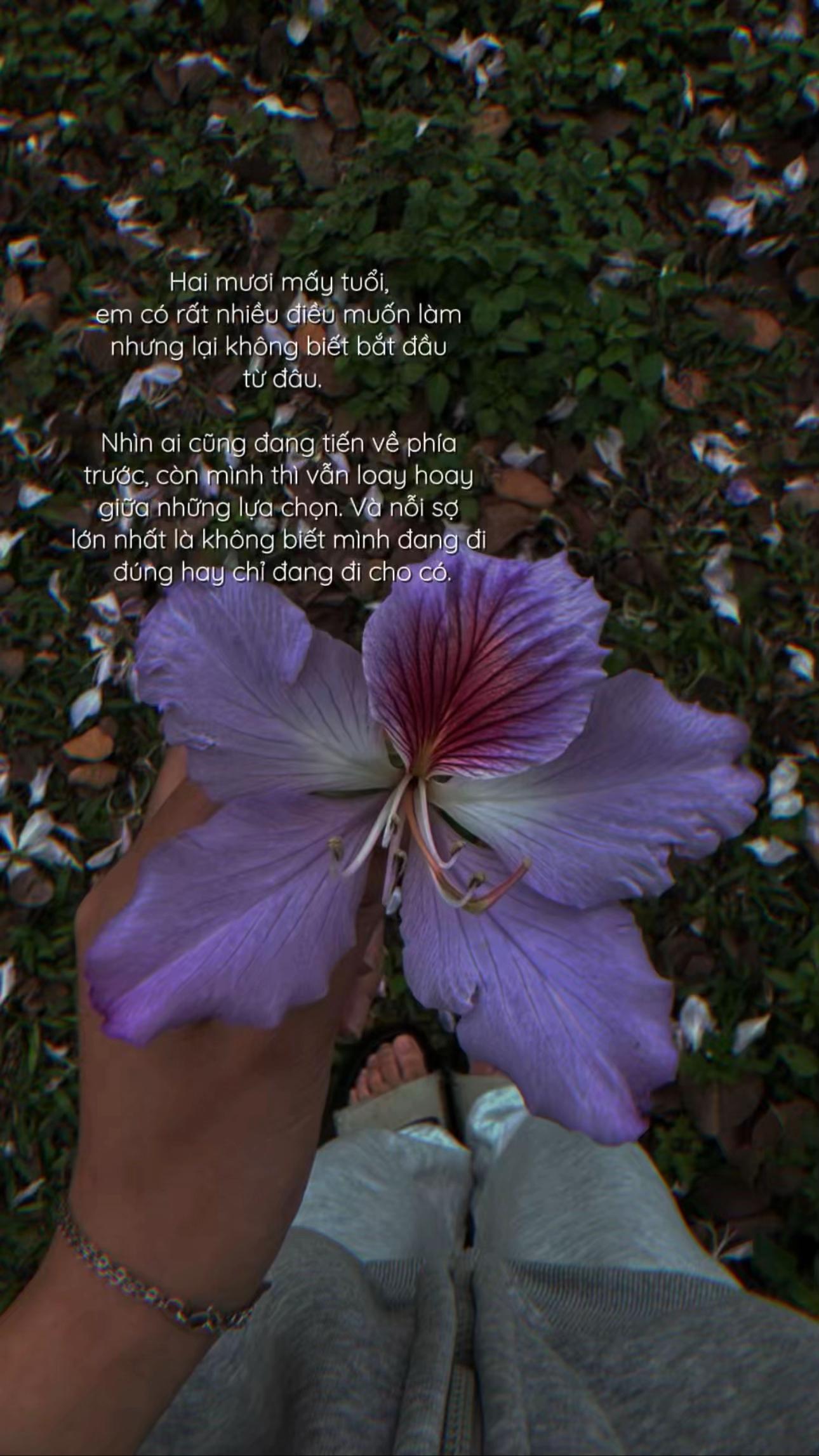 @ᴶ ᵁ ᴺ ᴾ ᴵ ᴵ 🥀